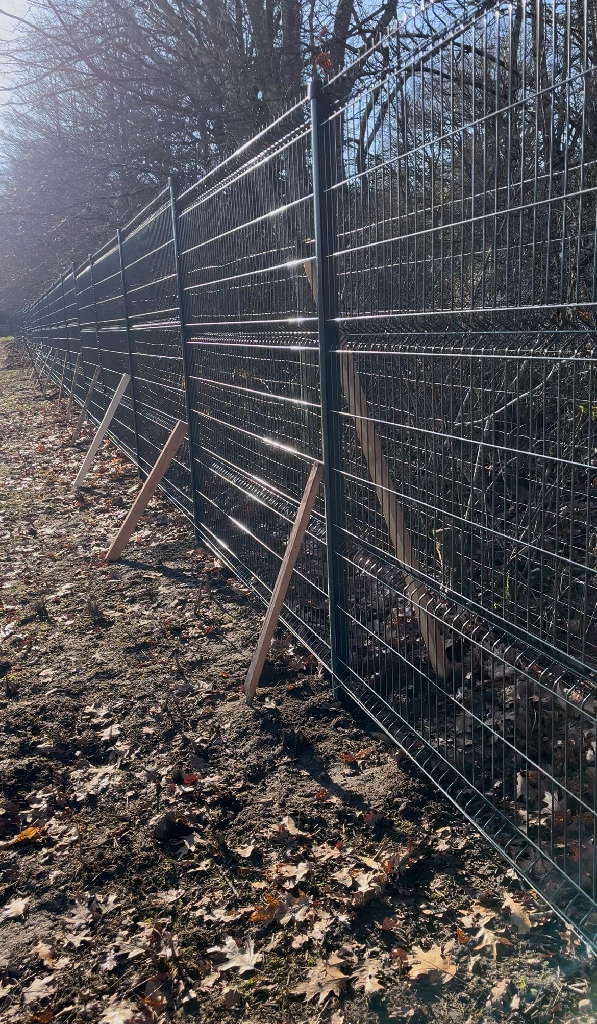 Assainissement, terrassement aménagement extérieur et paysagiste à Marmagne dans le Cher (18)