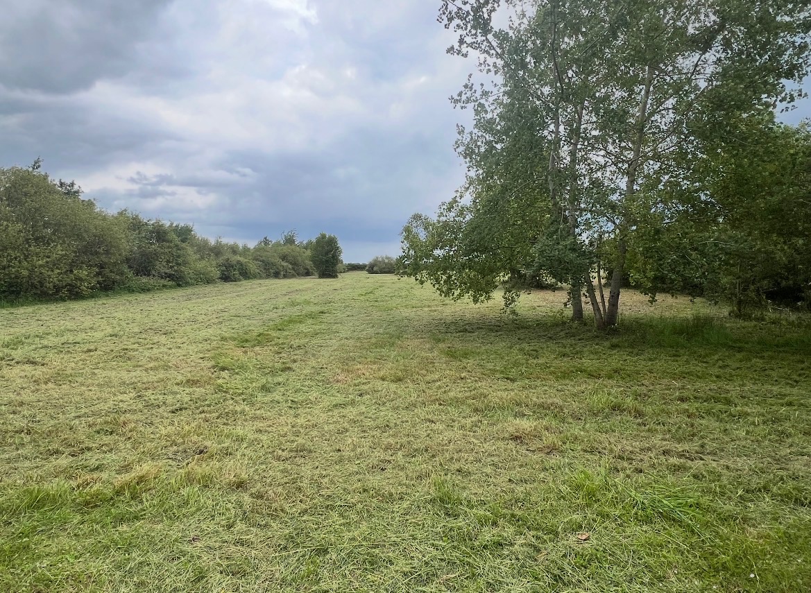 Assainissement, terrassement à Vierzon dans le Cher (18)