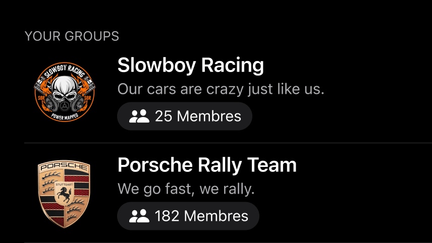 List of two groups: Slowboy Racing with logo of a skull wearing a gas mask and 25 members, and Porsche Rally Team with Porsche crest logo and 182 members.