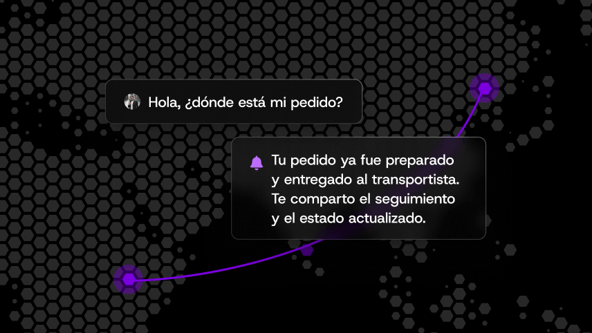 Conversation bubbles on a hexagonal pattern background; one asks about order status and the other confirms the order is prepared, delivered, and provides tracking information.