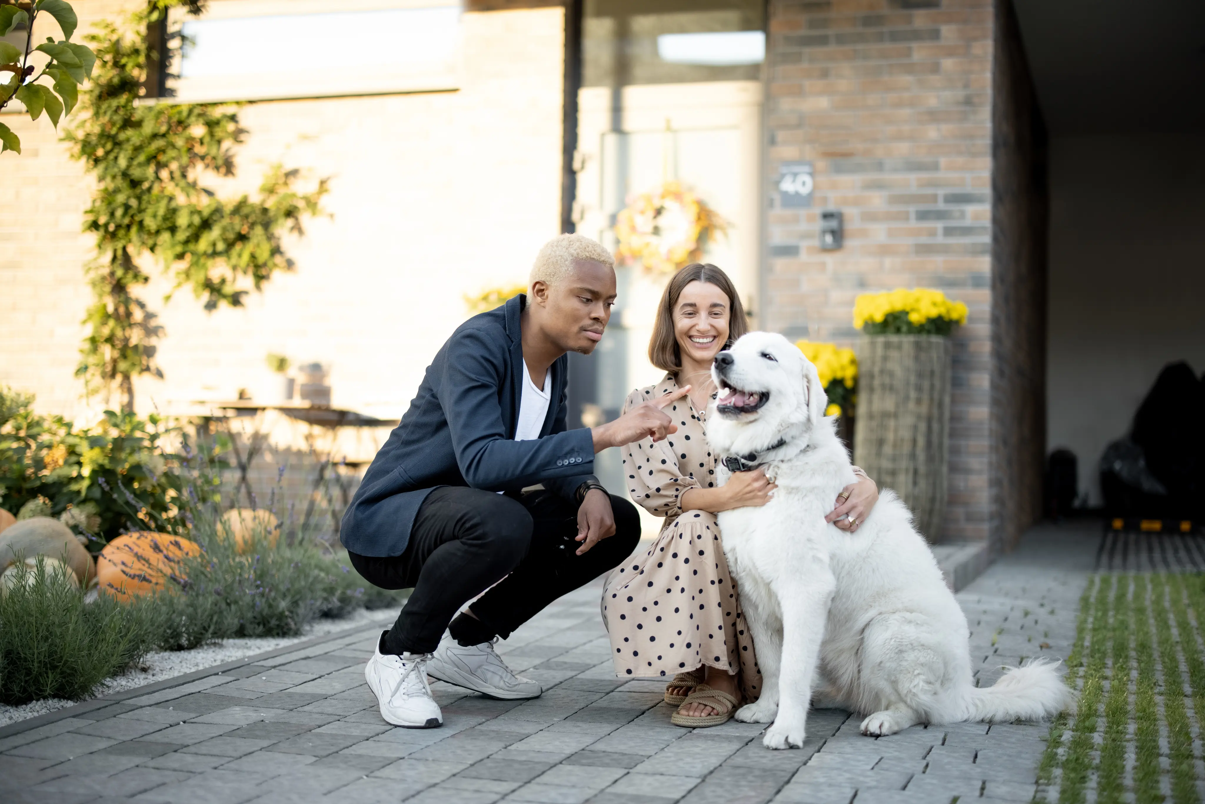 A man and a woman petting a white dog.