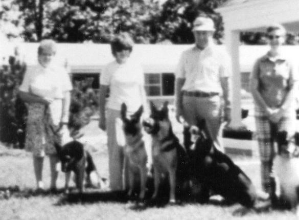 The First TDI Therapy Dog Visit took place in 1976 in New Jersey with five handlers and six dogs. Five of the dogs were German Shepherd Dogs and one was a Collie.
