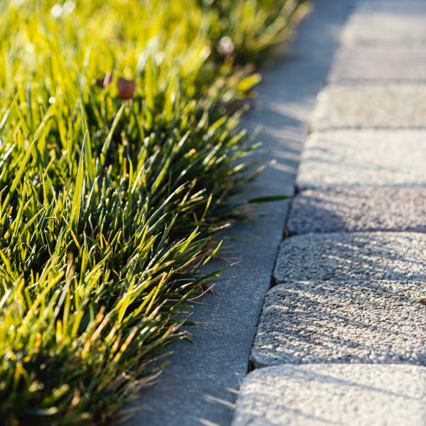 Grönt gräs längs en stenlagd gångväg i solsken