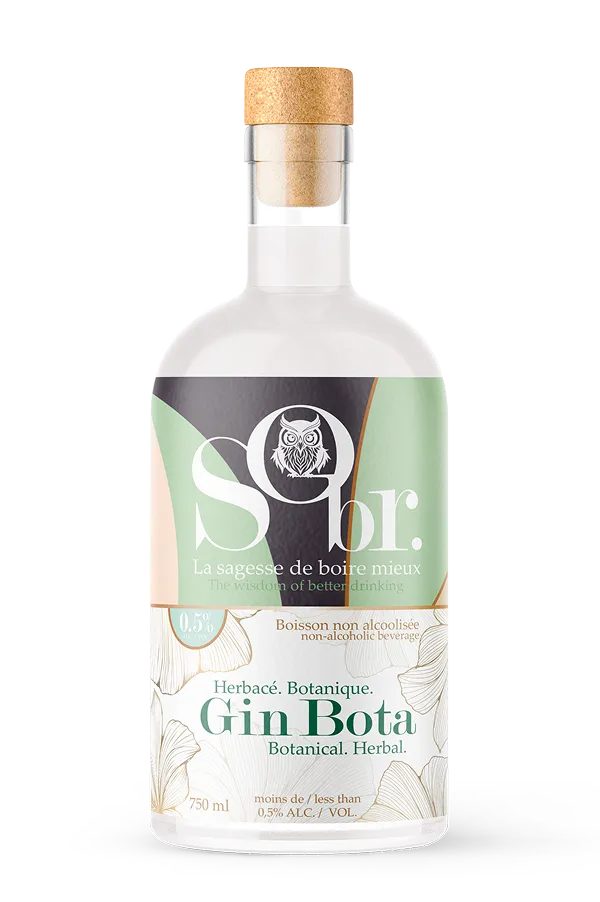 render_sobr_Gin_Bota