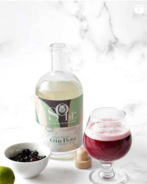 sobr-Social-gin-bota