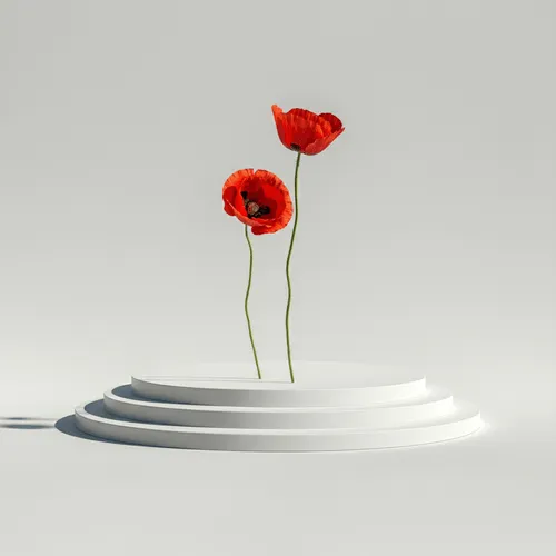 flower with light background