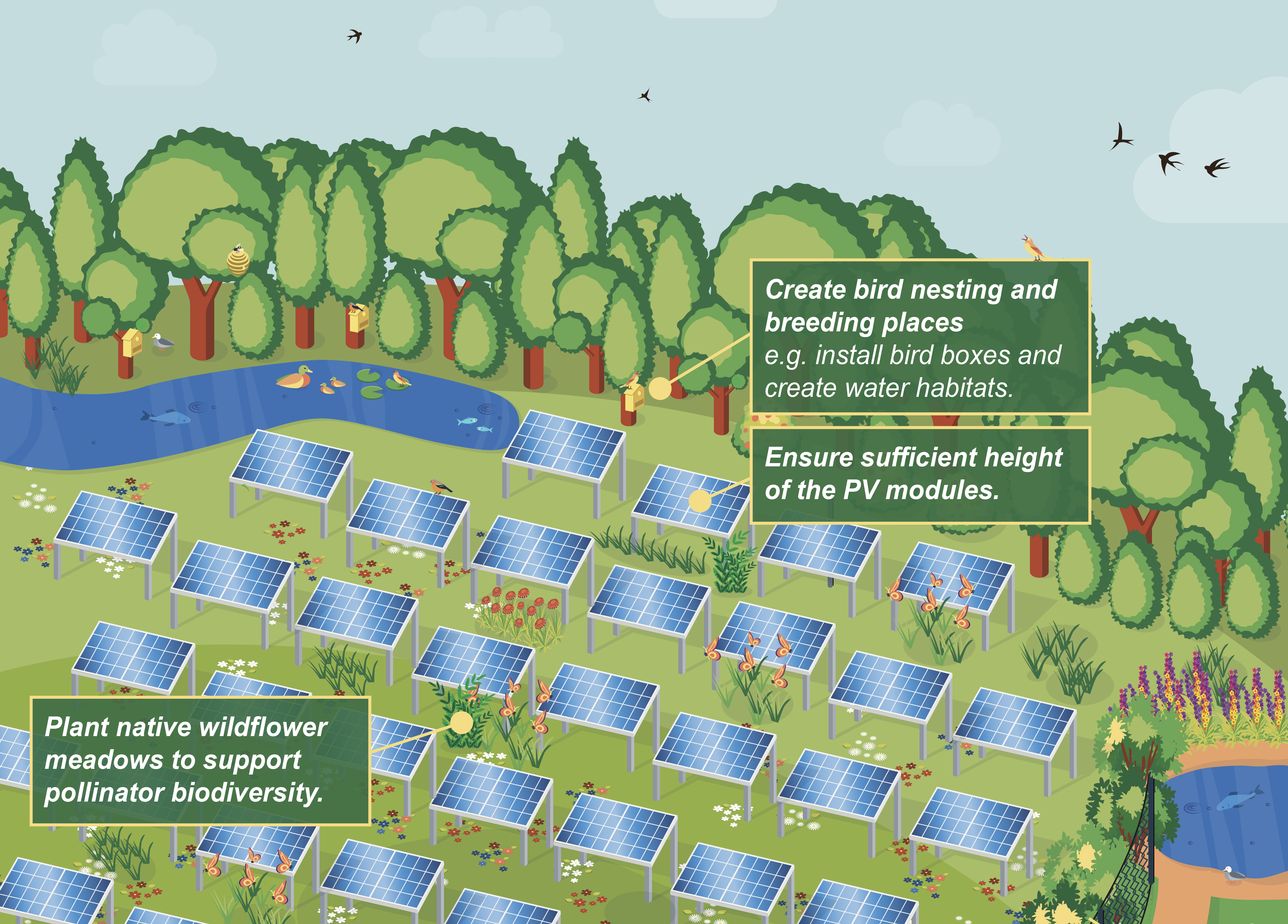 Thumbnail image showing solar parks integrated with nature illustration