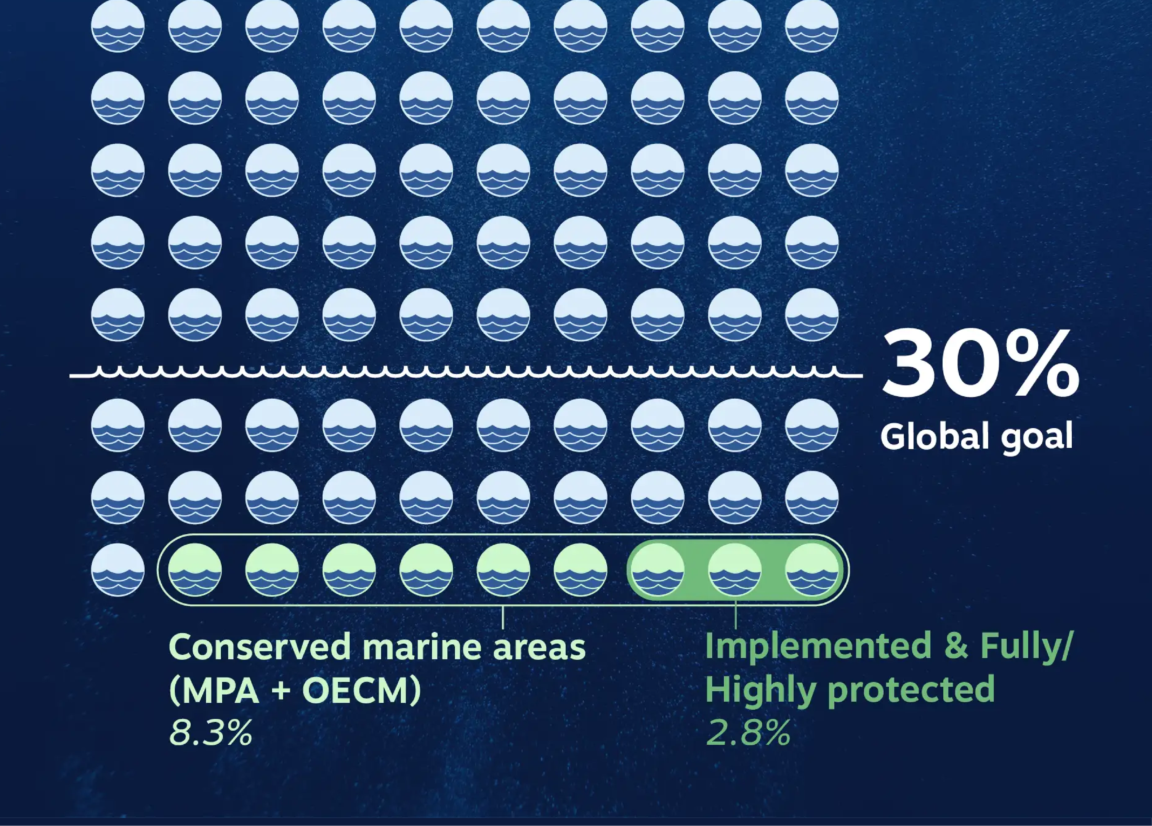 Thumbnail image representing ocean conservation project with marine-themed infographic