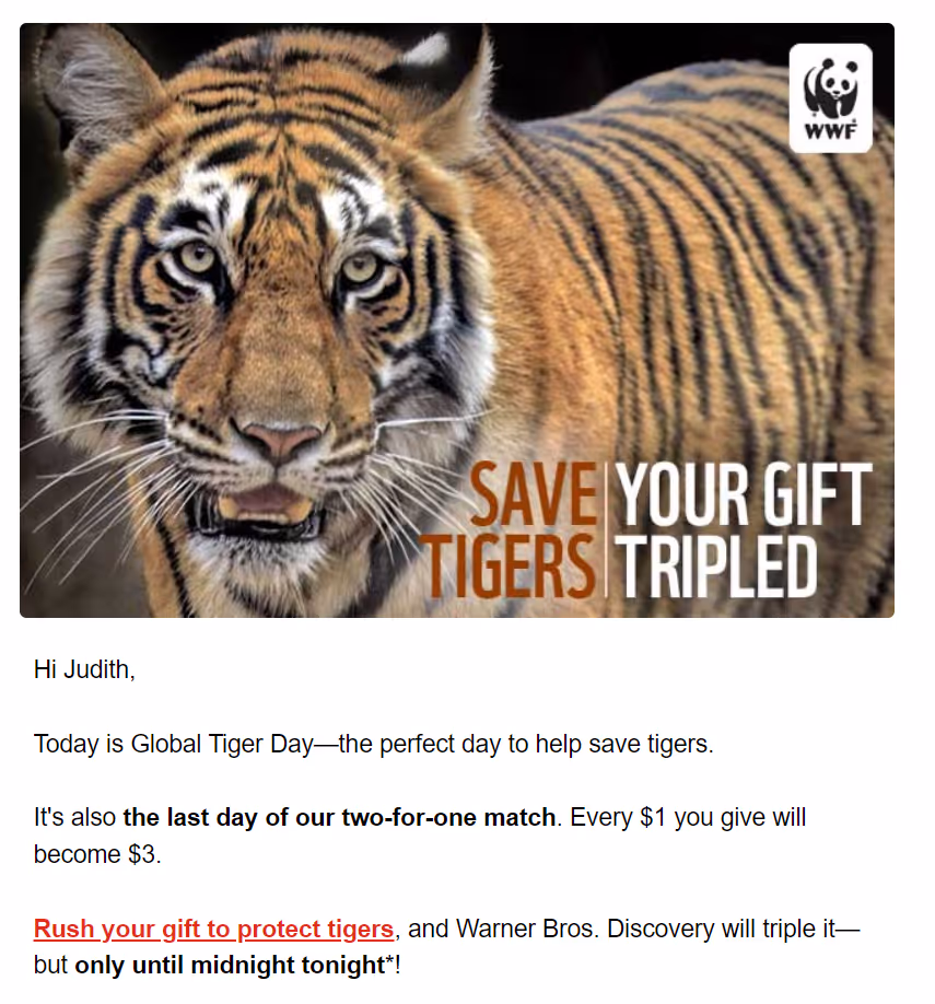 An email template from the World Wildlife Fund email fundraising campaign to save the tigers