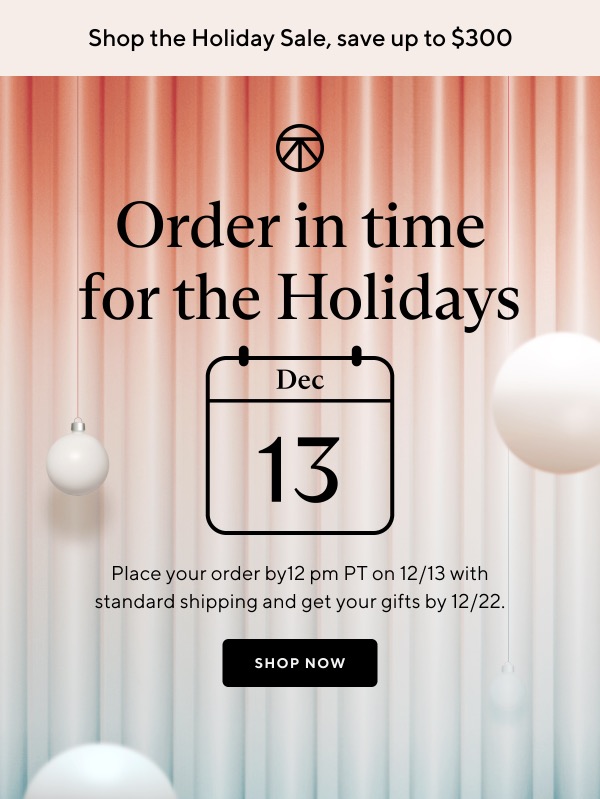 a holiday email marketing campaign with a deadline to order