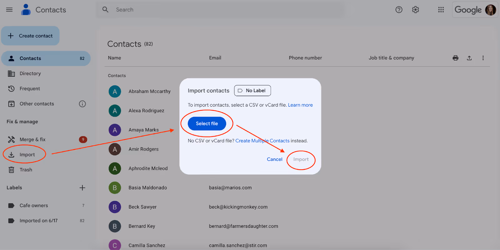A screenshot of Google Contacts page with a pop up window to Select file after clicking the Import feature on the left sidebar