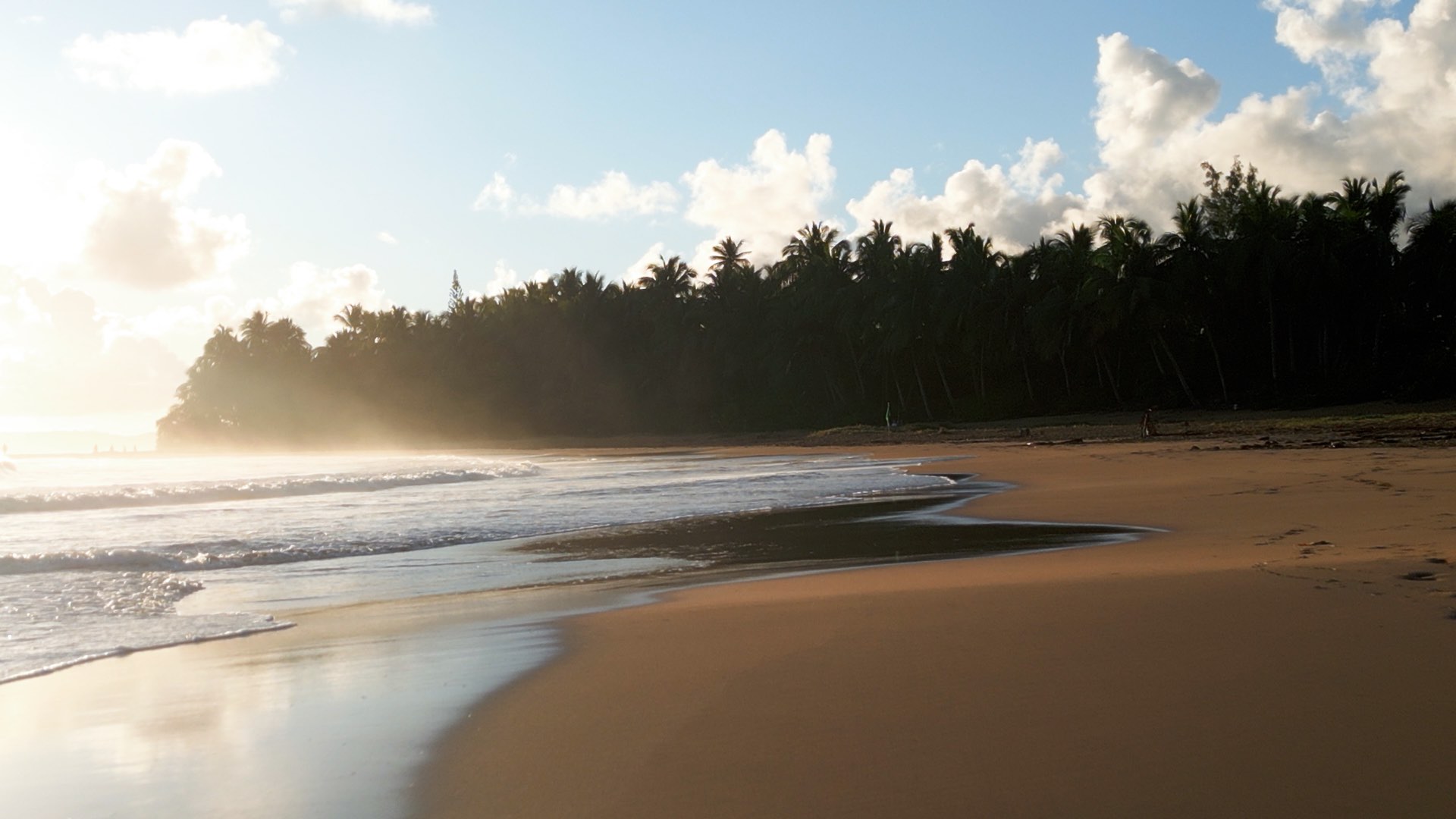 Drone perspective, clips of Luquillo beach demonstrating, waves at the beach, woman enjoying the sun and a man walking towards the beach with a surf board.