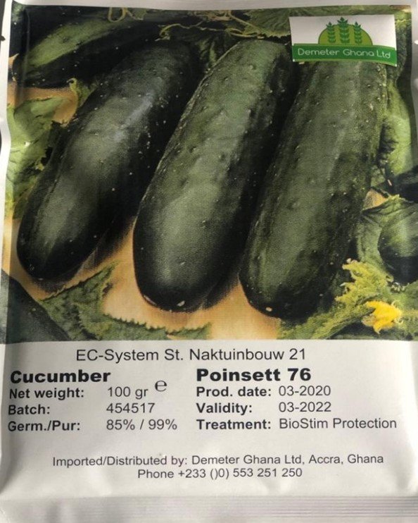 cucumber seeds.jpg