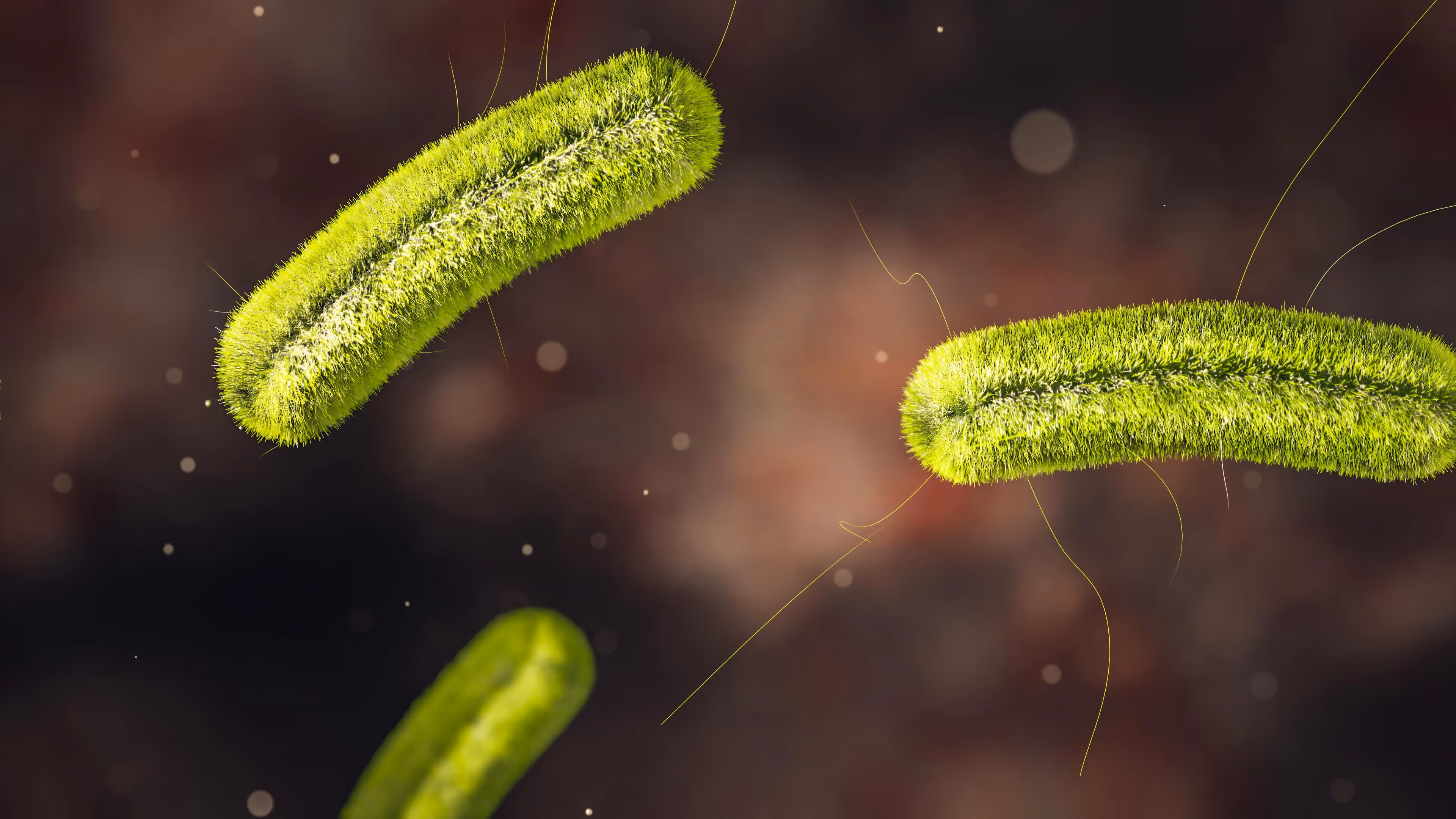 Elimina parásitos, mejora tu digestión y reduce la inflamación sistémica con el protocolo BIOptimizers Para Guardian. Limpieza efectiva y natural.