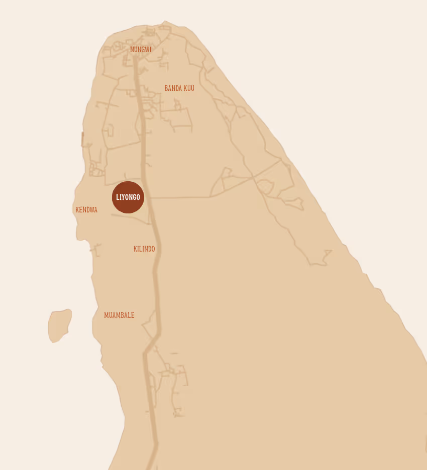Map highlighting Liyongo area on a coastal region with nearby places Nungwi, Banda Kuu, Kendwa, Kilindo, and Muambale.