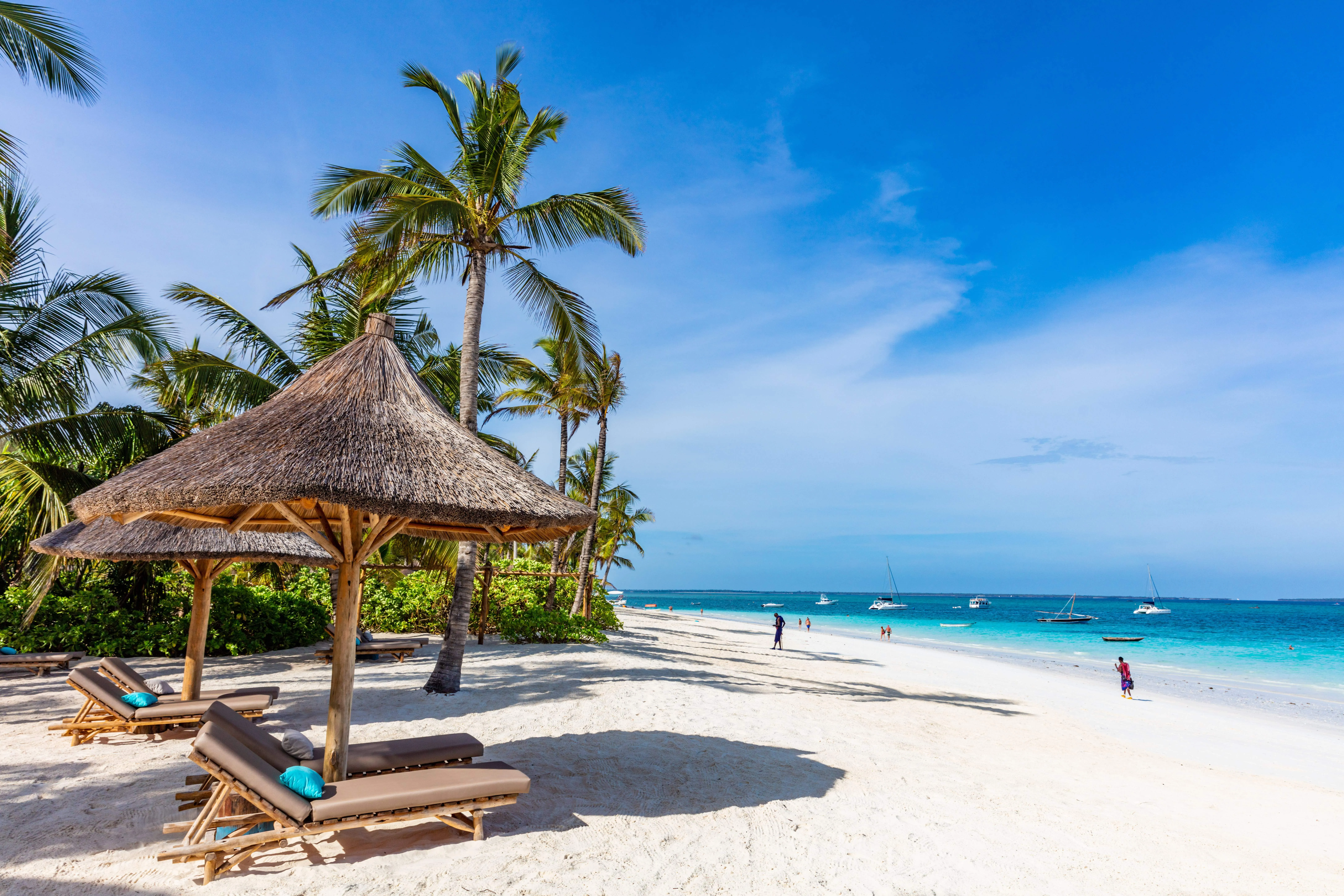 Beach and palms