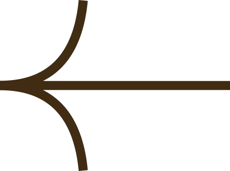 An arrow pointing left, indicating 'previous'