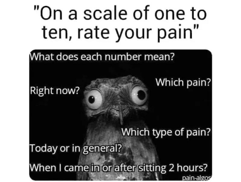 A meme that reads "On a scale of one to ten, rate your pain". Beneath is a black and white photo of an alarmed bird, with text surrounding it that reads: "What does each number mean? Right now? Which pain? Which type of pain? Today or in general? When I came in or after sitting 2 hours?"