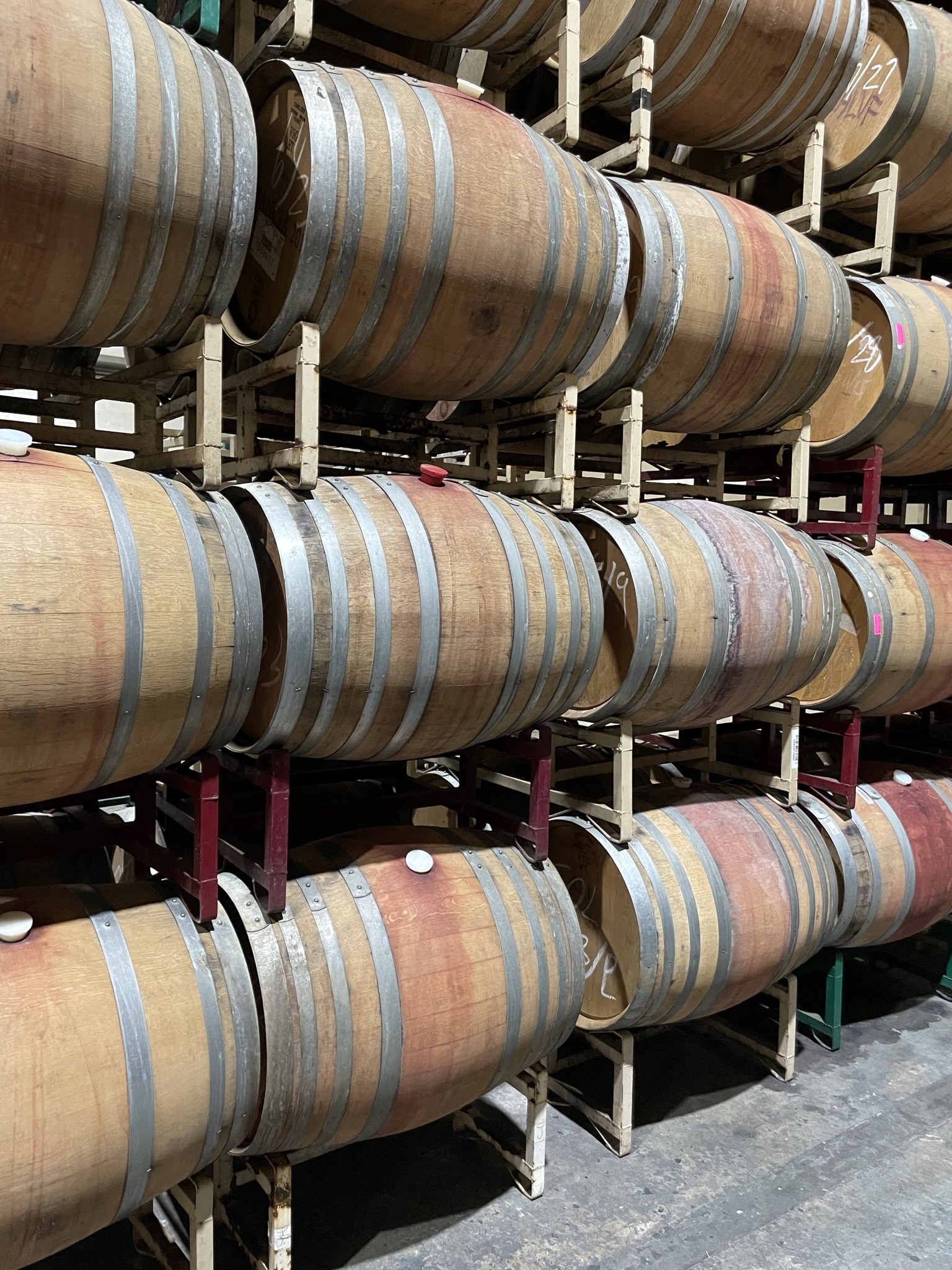Rows of French oak barrels in the cellar where Bearboat Chardonnay ferments and ages on the lees