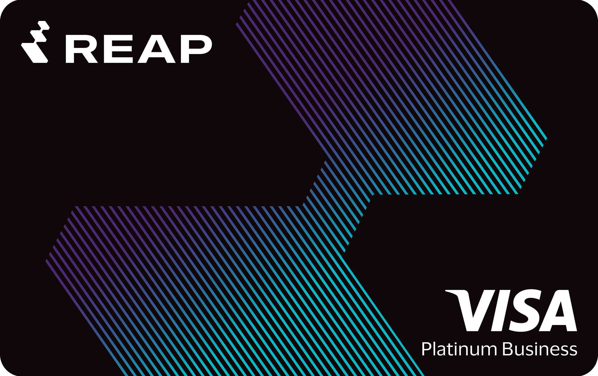 Reap Visa Platinum Business card