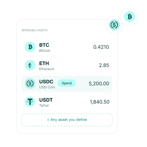 Spendable assets list