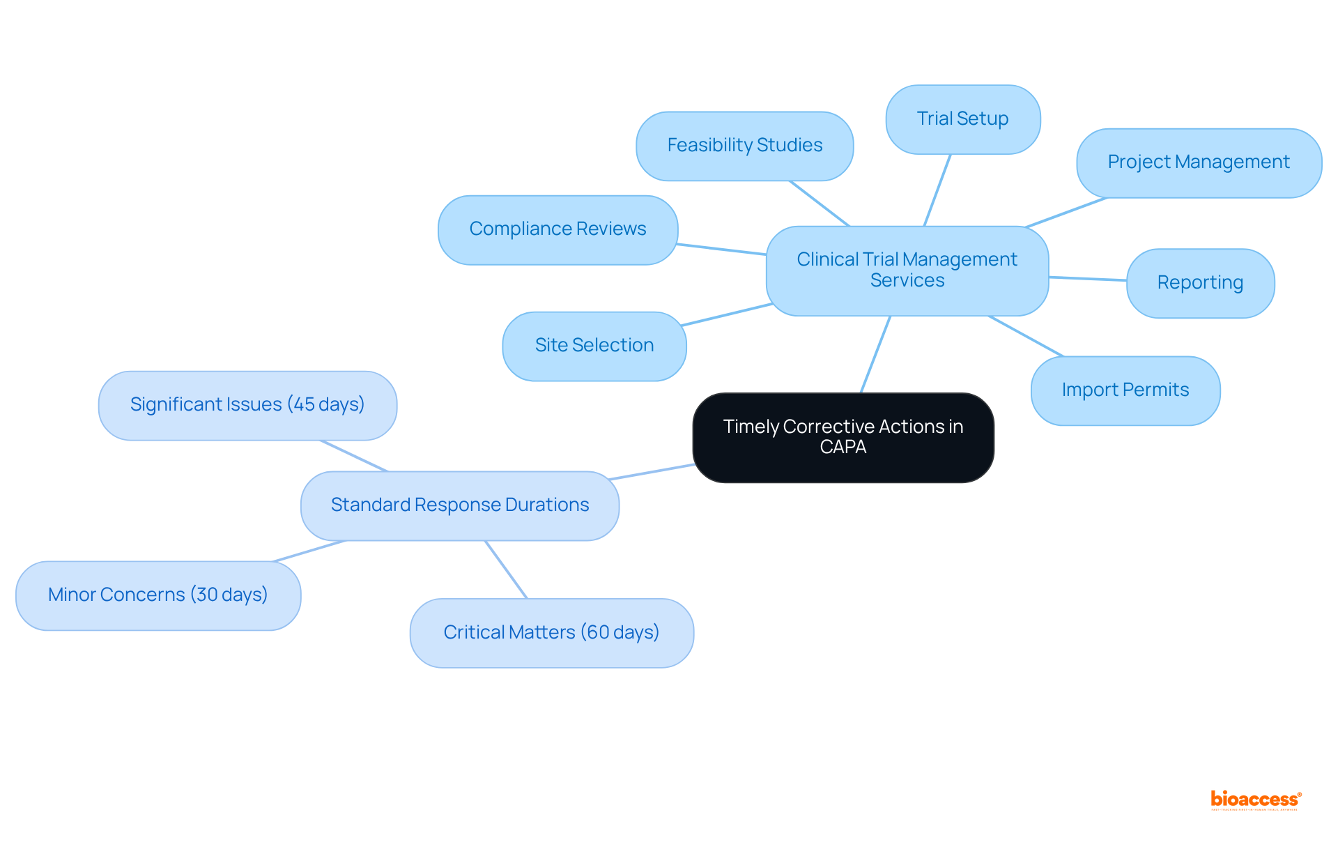 The mindmap starts at the center with the main theme and branches out to show related services and timelines. Each color-coded branch helps you quickly identify categories and their respective details.