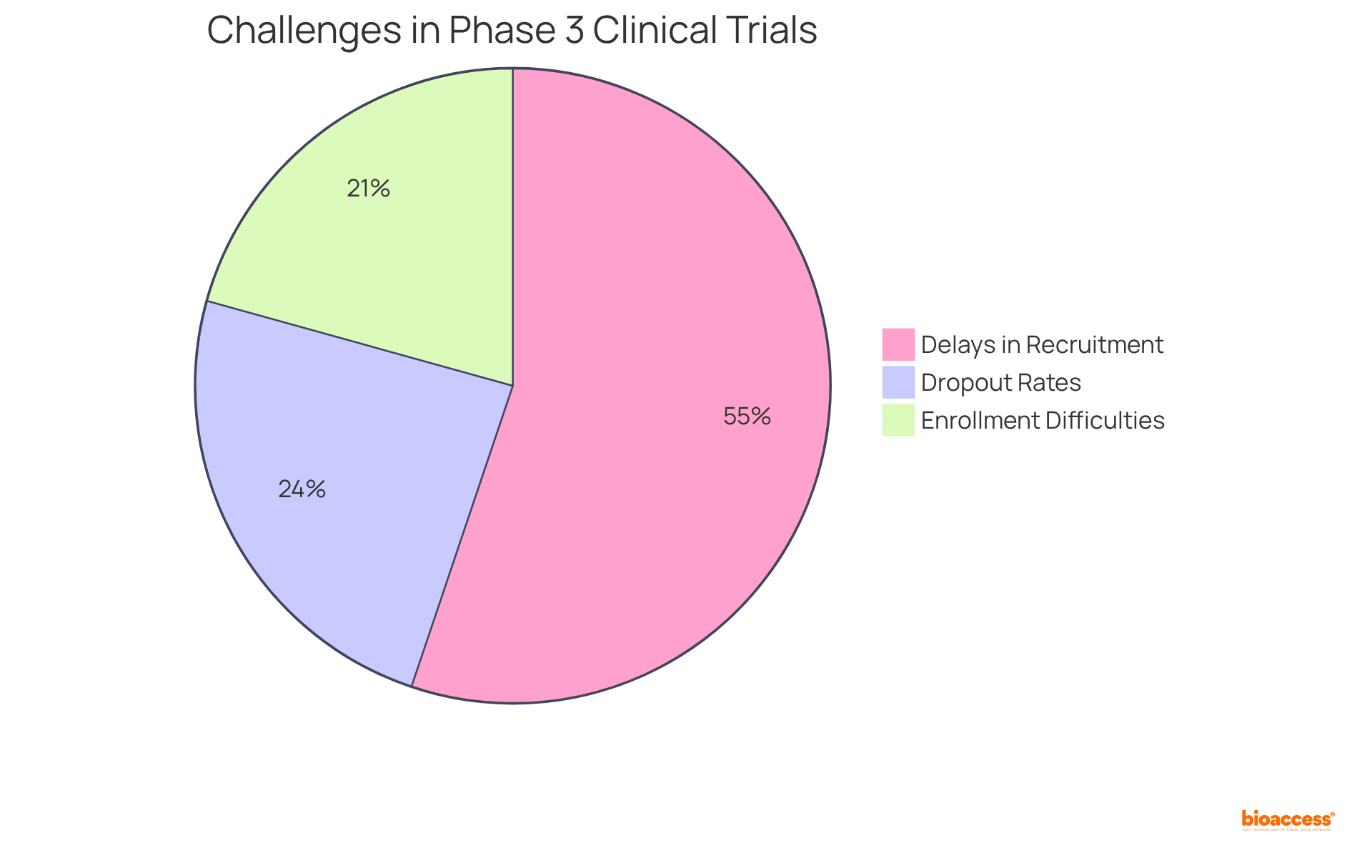 Each slice represents a challenge faced during clinical trials — the larger the slice, the more significant the challenge in terms of impact.