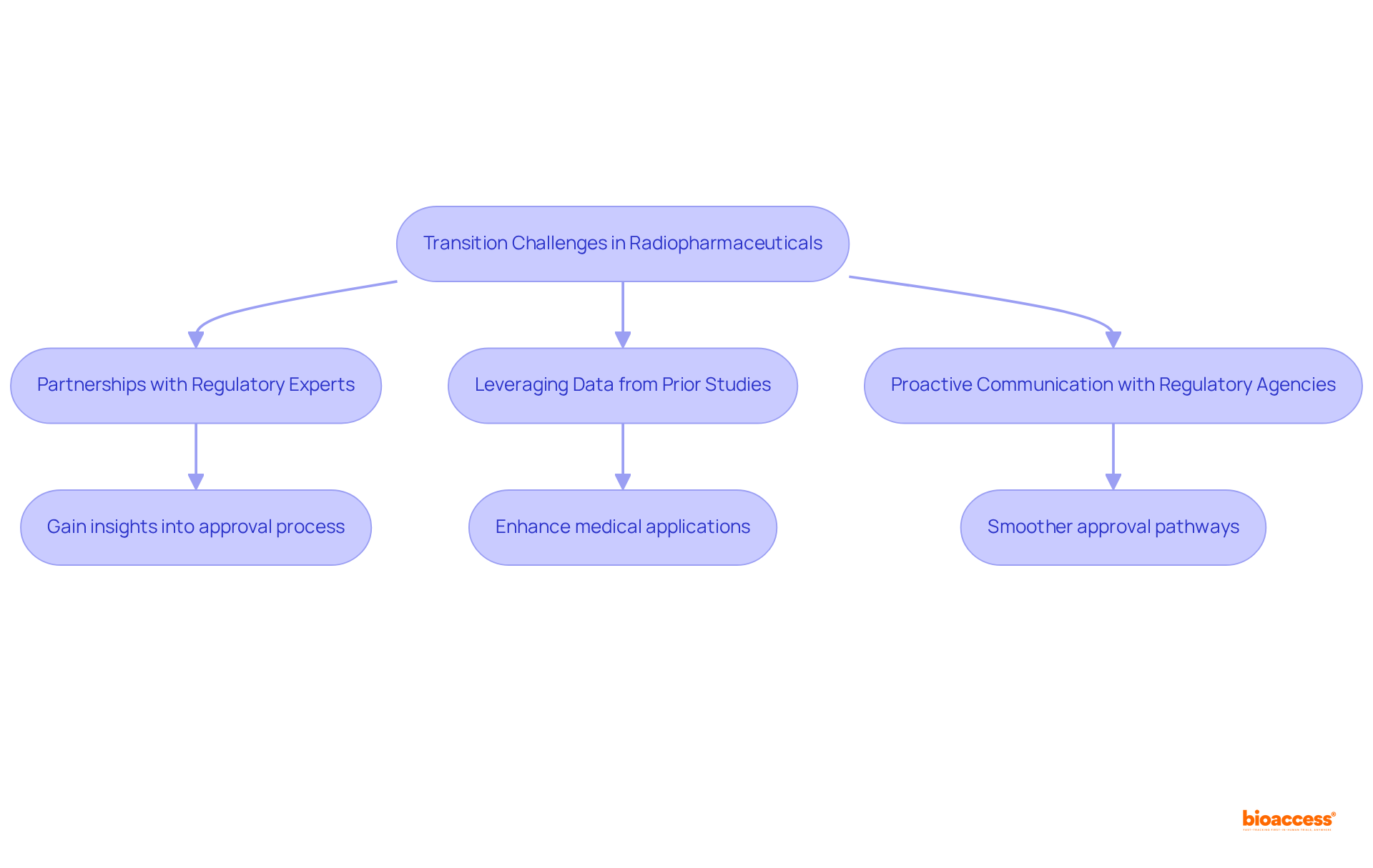 This flowchart illustrates the steps researchers can take to successfully transition from preclinical to clinical studies. Each strategy addresses specific challenges, guiding you through the process of gaining regulatory approval.