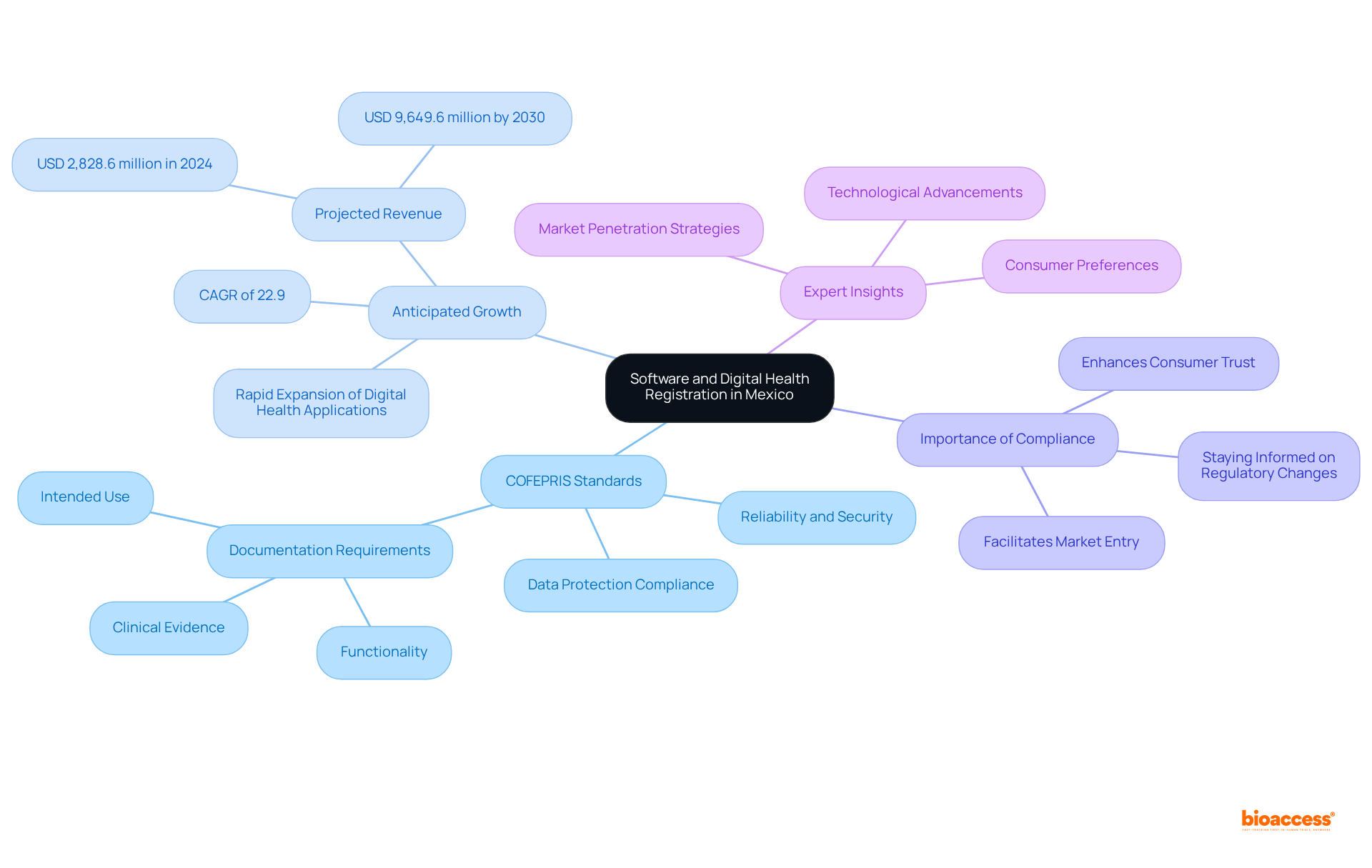 The central node represents the main topic, while each branch outlines key considerations, showing how they connect to the overall theme of digital health registration in Mexico.