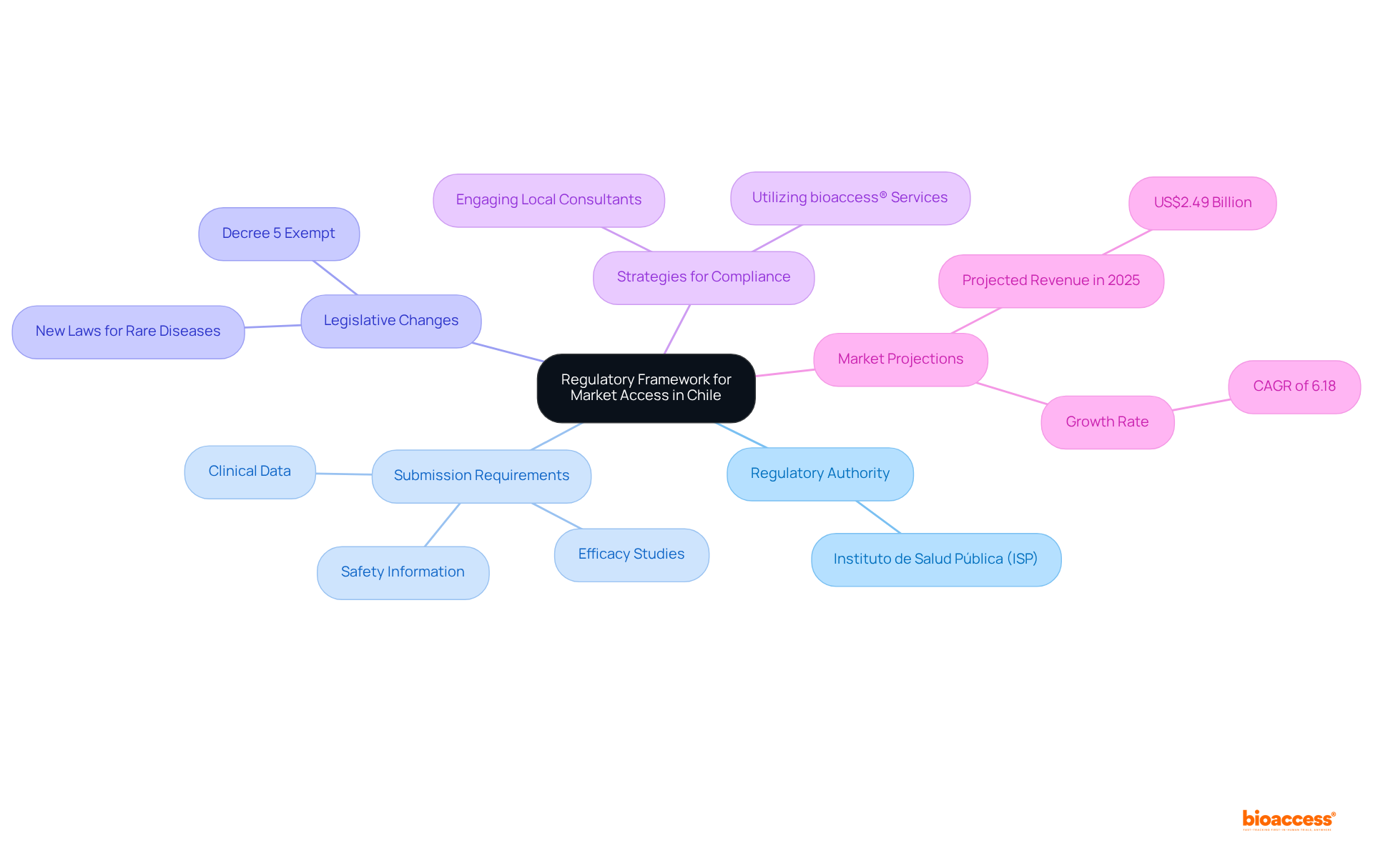 At the center is the regulatory framework, with branches showing essential components like the ISP's role, what companies need to submit, recent laws affecting the market, and strategies for navigating these regulations. Each branch represents a vital part of understanding market access.