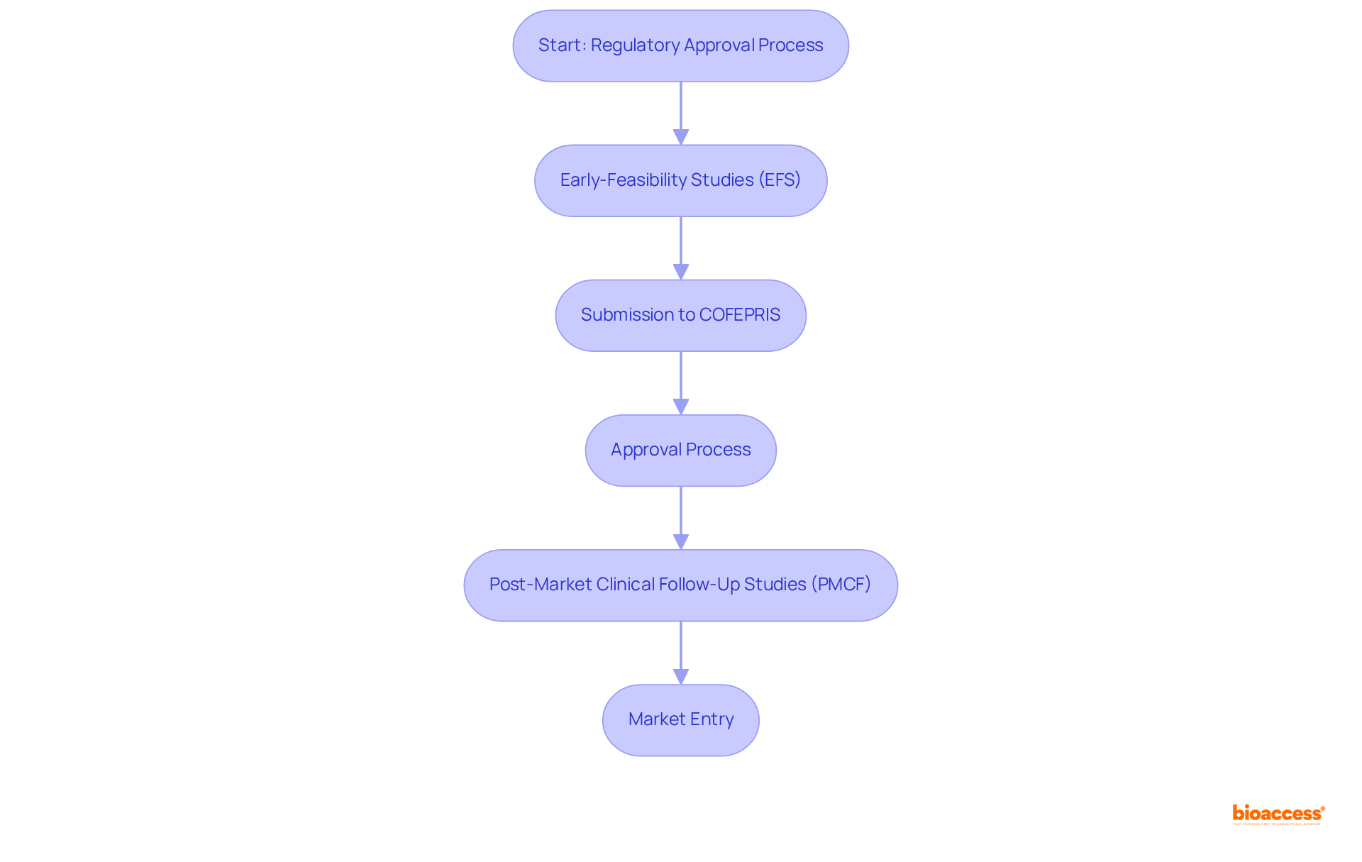 Follow the arrows to see each step in the approval process — from initial studies to finally entering the market, every stage is crucial for compliance.