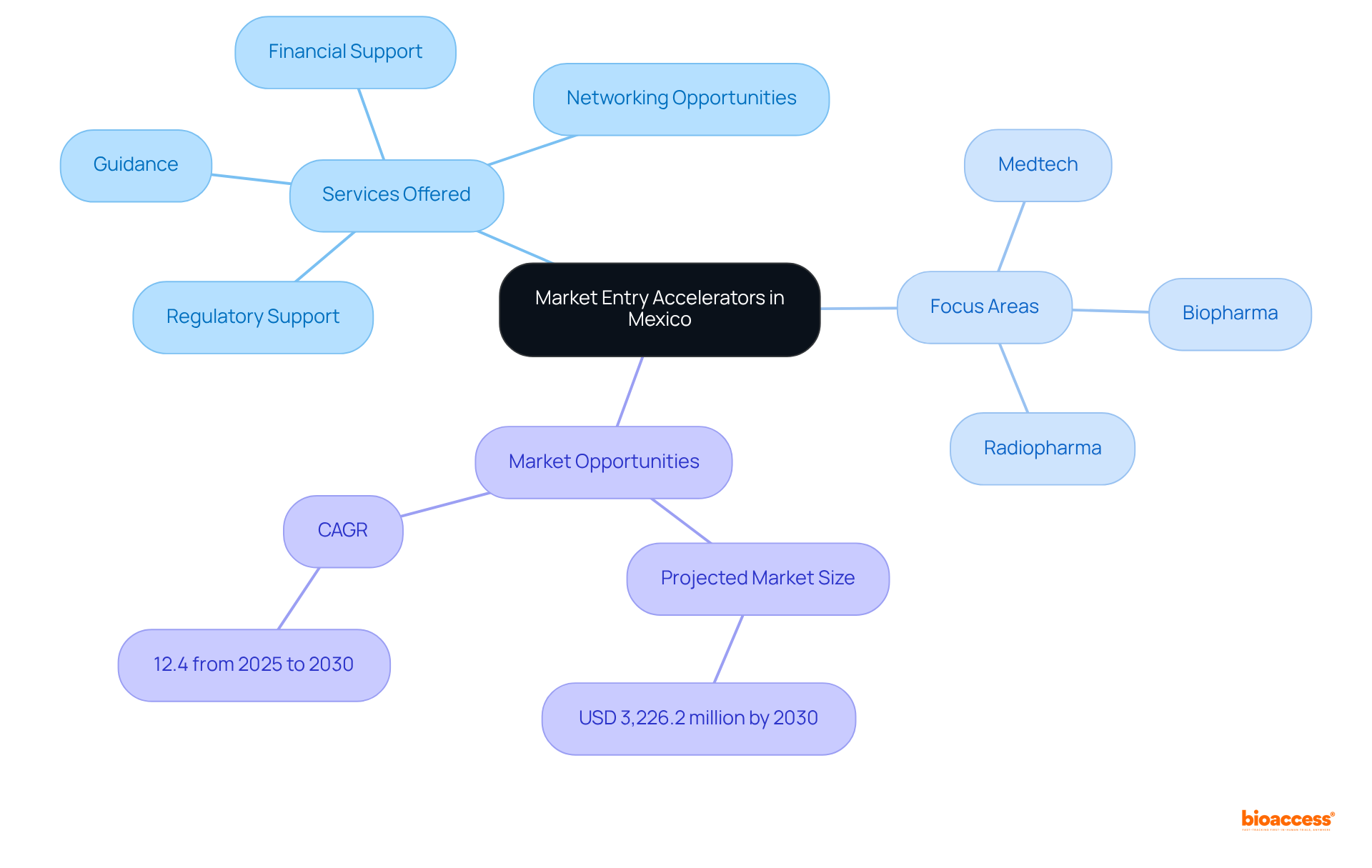 This mindmap illustrates how different components of market entry accelerators relate to each other. The central node represents the main topic, while branches show services, focus areas, and market growth opportunities.