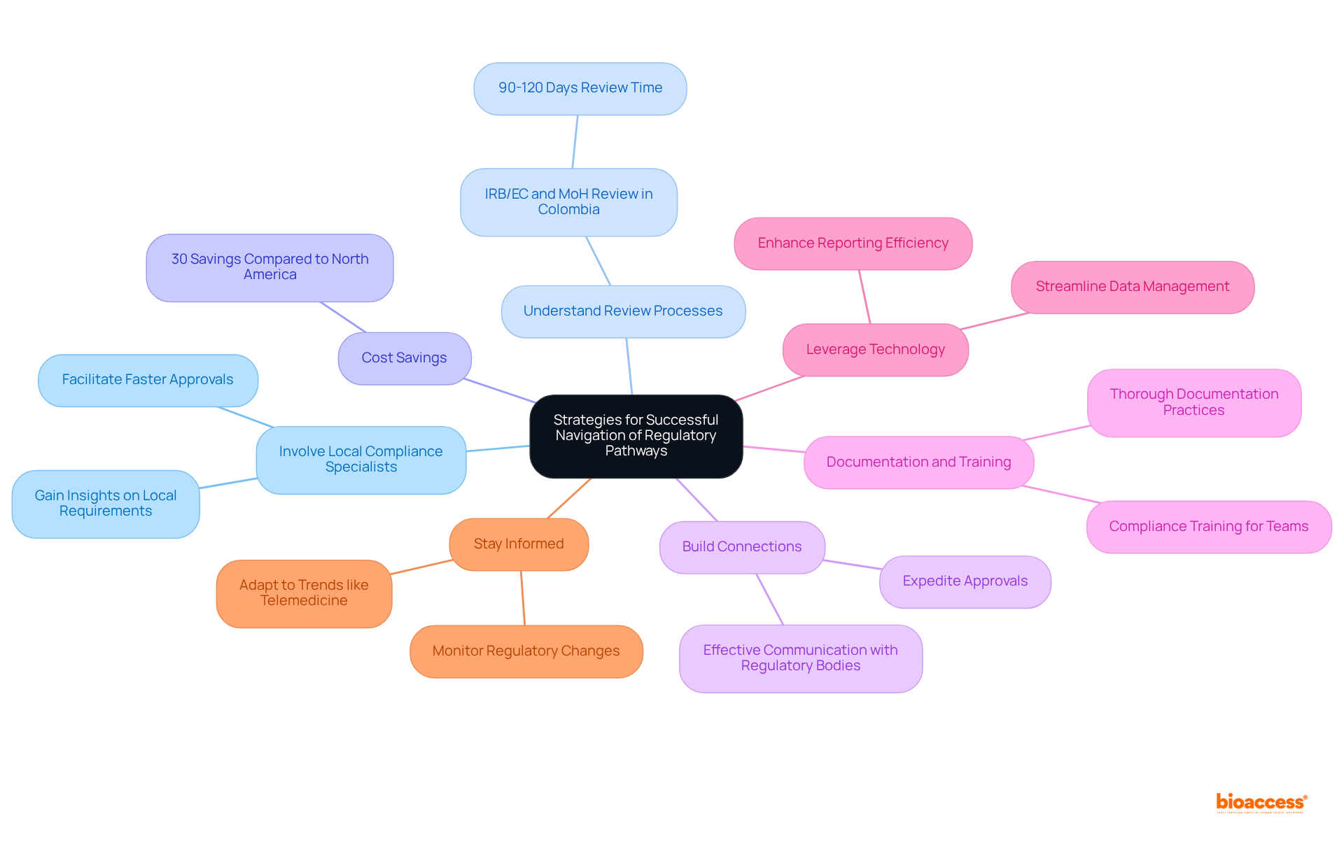 The central node represents the main goal of navigating regulatory pathways. Each branch represents a key strategy, with further branches detailing specific actions or insights related to that strategy.