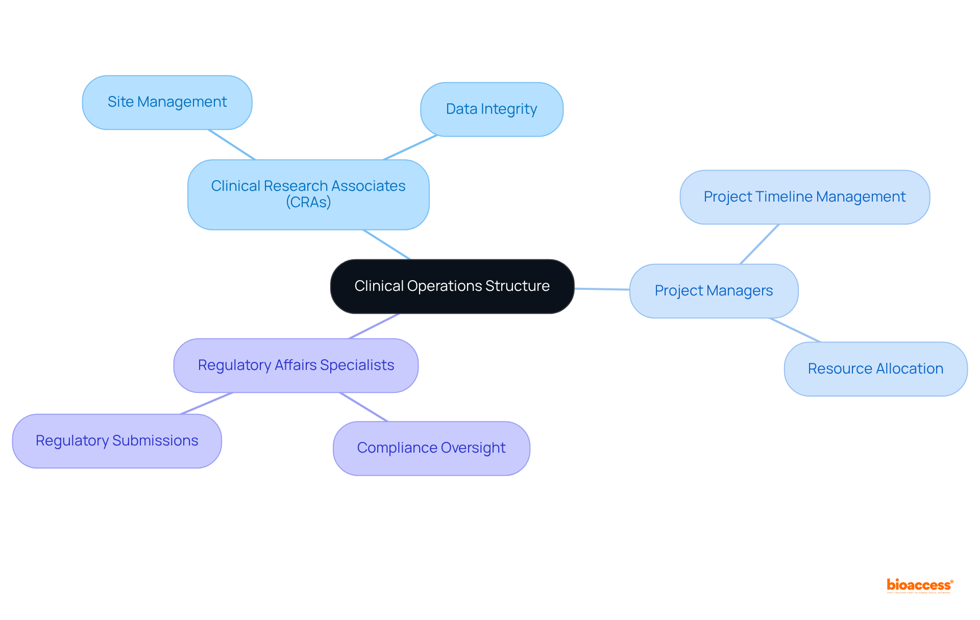 The central node represents the overall structure, while each branch shows key roles. The sub-branches detail specific responsibilities, helping readers understand how each role contributes to clinical trial success.