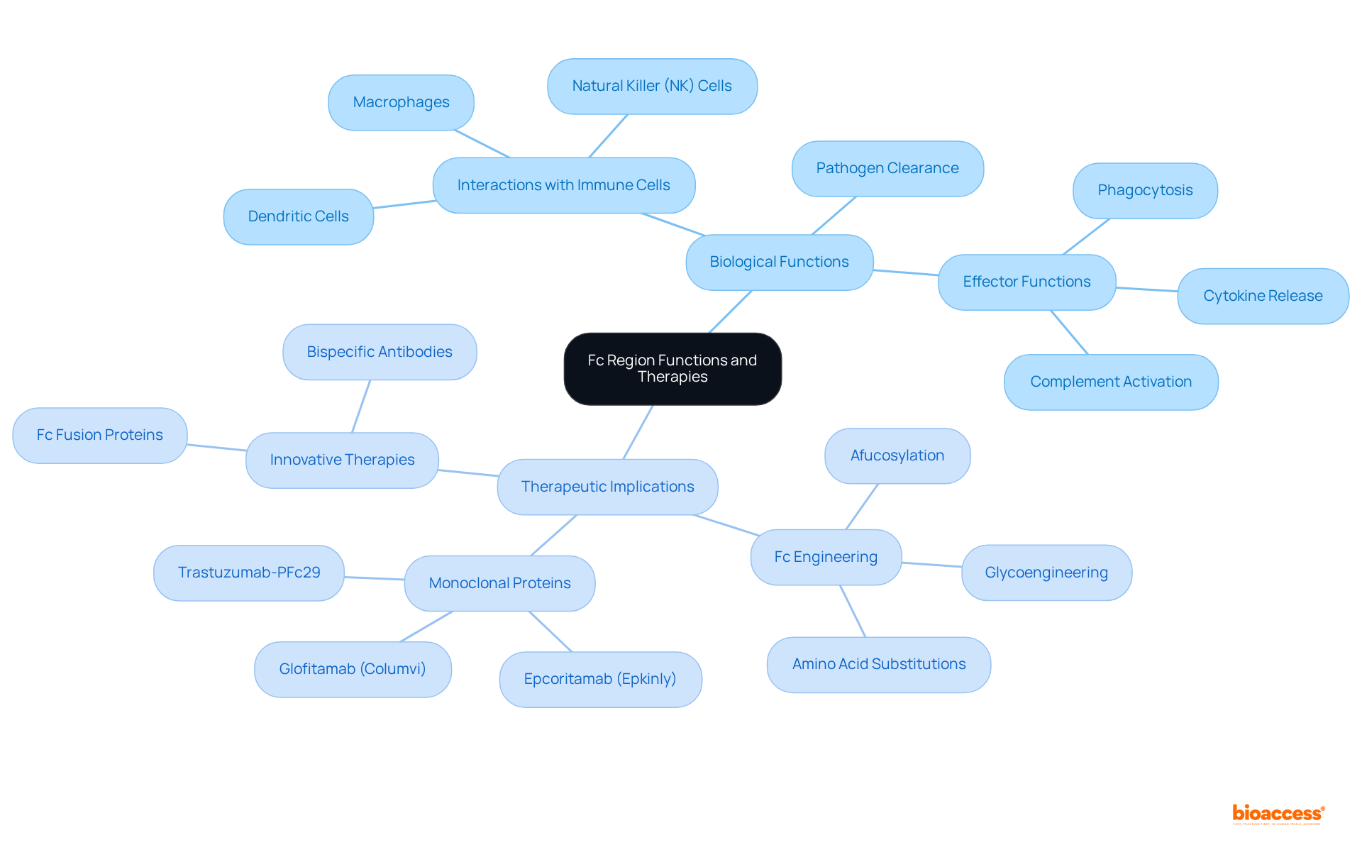 This mindmap starts with the Fc region at the center, showing its biological functions on one side and its therapeutic innovations on the other. Each branch represents a key concept, helping you understand how they relate to one another in the context of immunity and therapy.