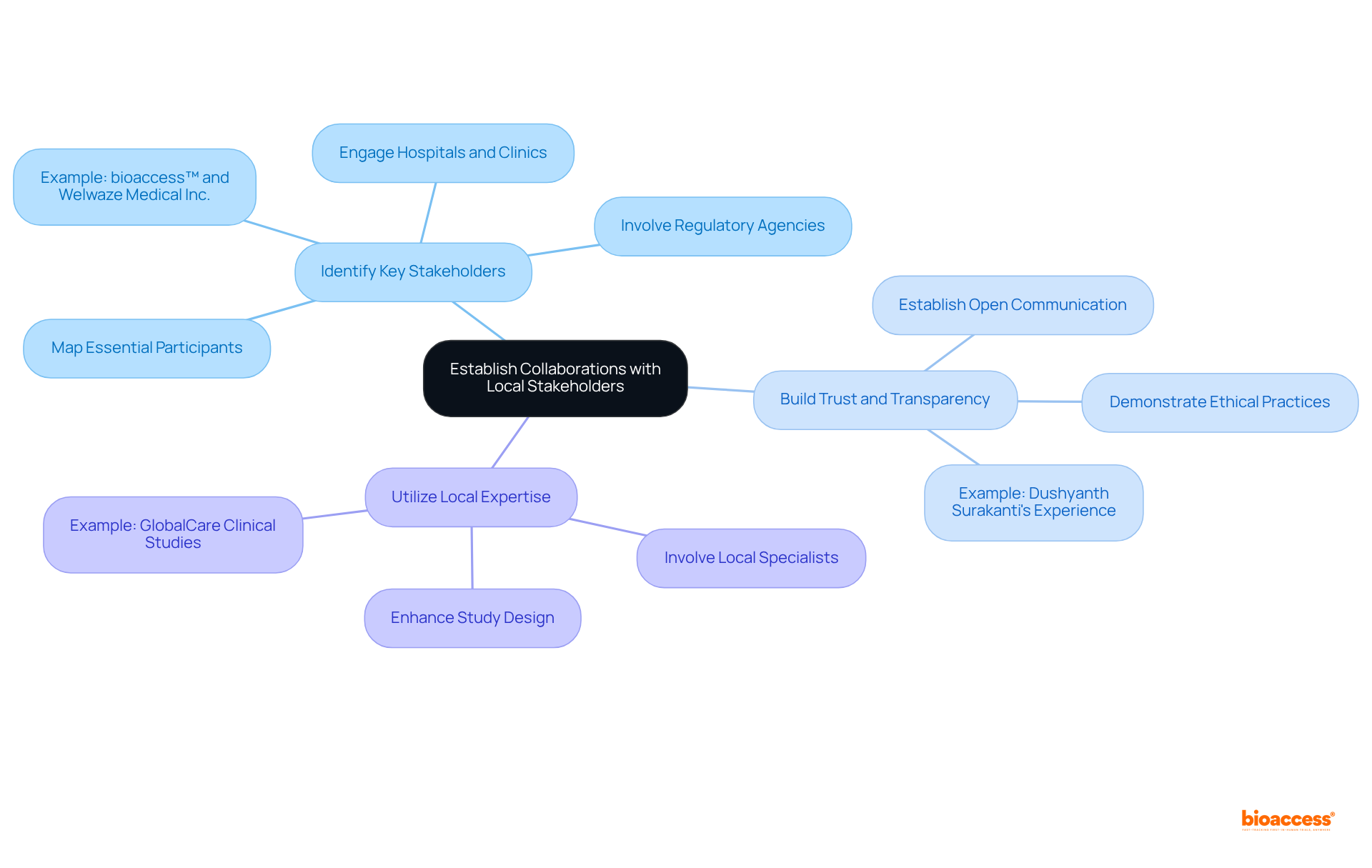 Start at the center with the main theme of collaboration, then explore each strategy and its actions. Each color-coded branch shows a different approach to fostering partnerships, making it easy to see how they connect.