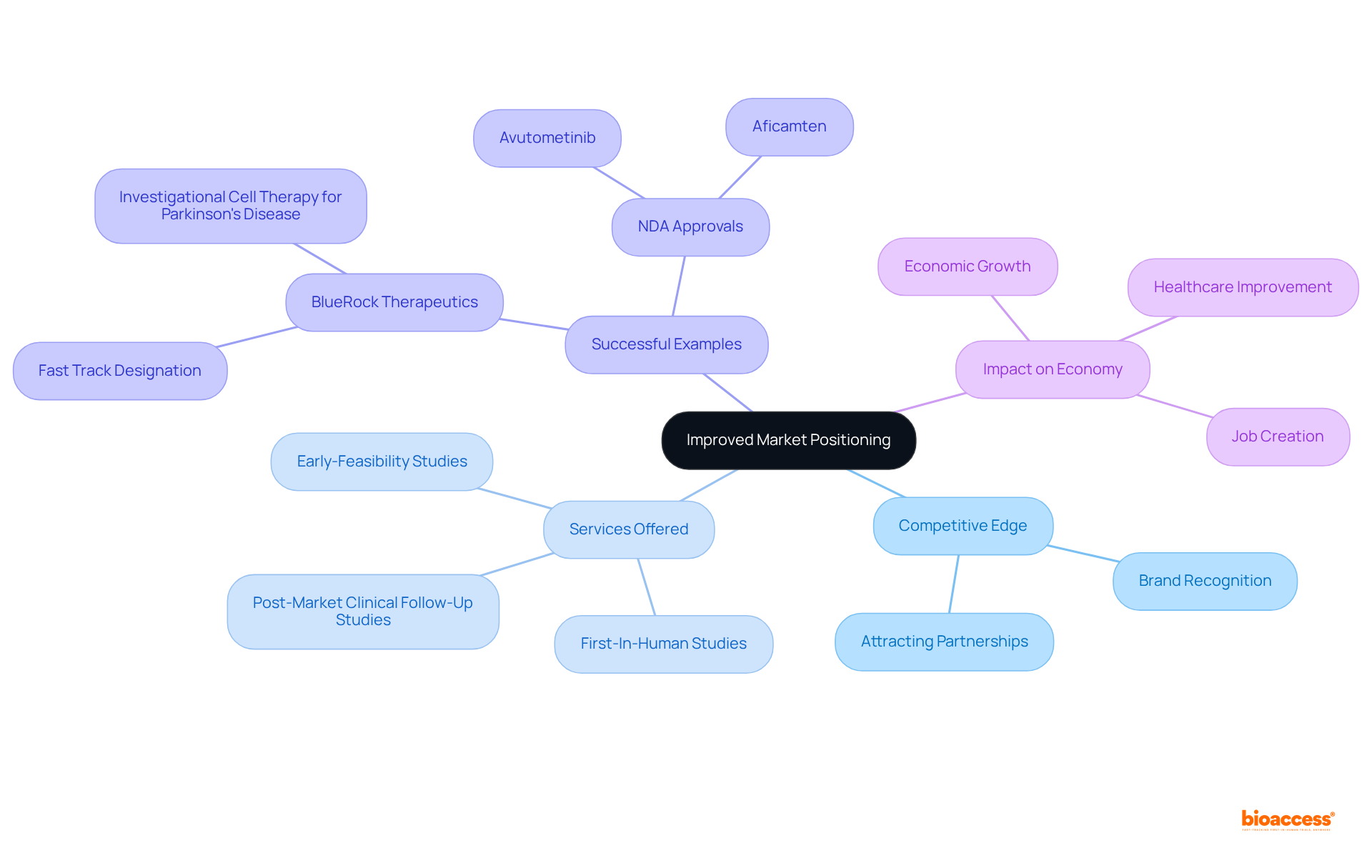 The main idea is at the center. Each branch shows a related concept or example, helping you understand how fast track designation can improve market positioning.