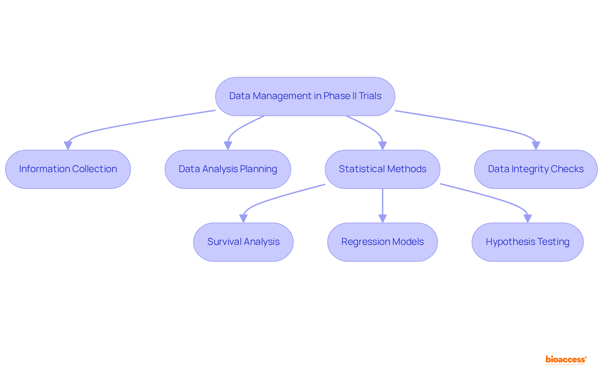 This flowchart outlines the critical steps involved in managing and analyzing data during Phase II clinical trials. Each box represents a vital process, and arrows indicate how they are connected to ensure effective and reliable results.