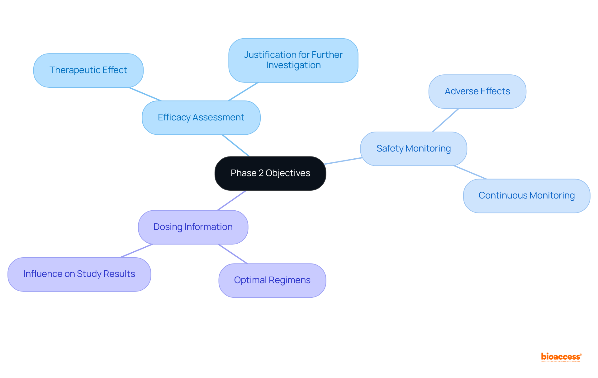 The central node represents the overall objectives of Phase 2 studies. Each branch highlights a specific area of focus, with further details showing how these objectives contribute to the success of medical therapies.