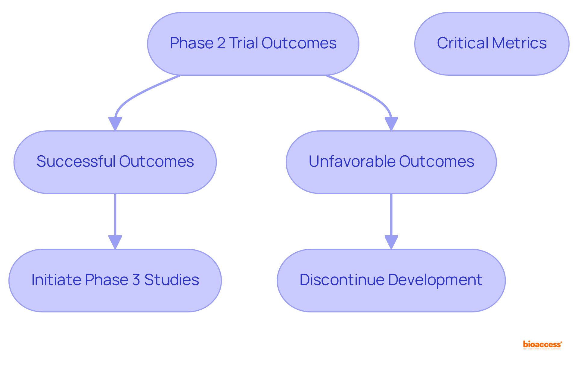 This flowchart shows what happens after Phase 2 trial results. If the outcomes are successful, the process moves to Phase 3 studies. If not, development might end. The critical metrics help guide these decisions.