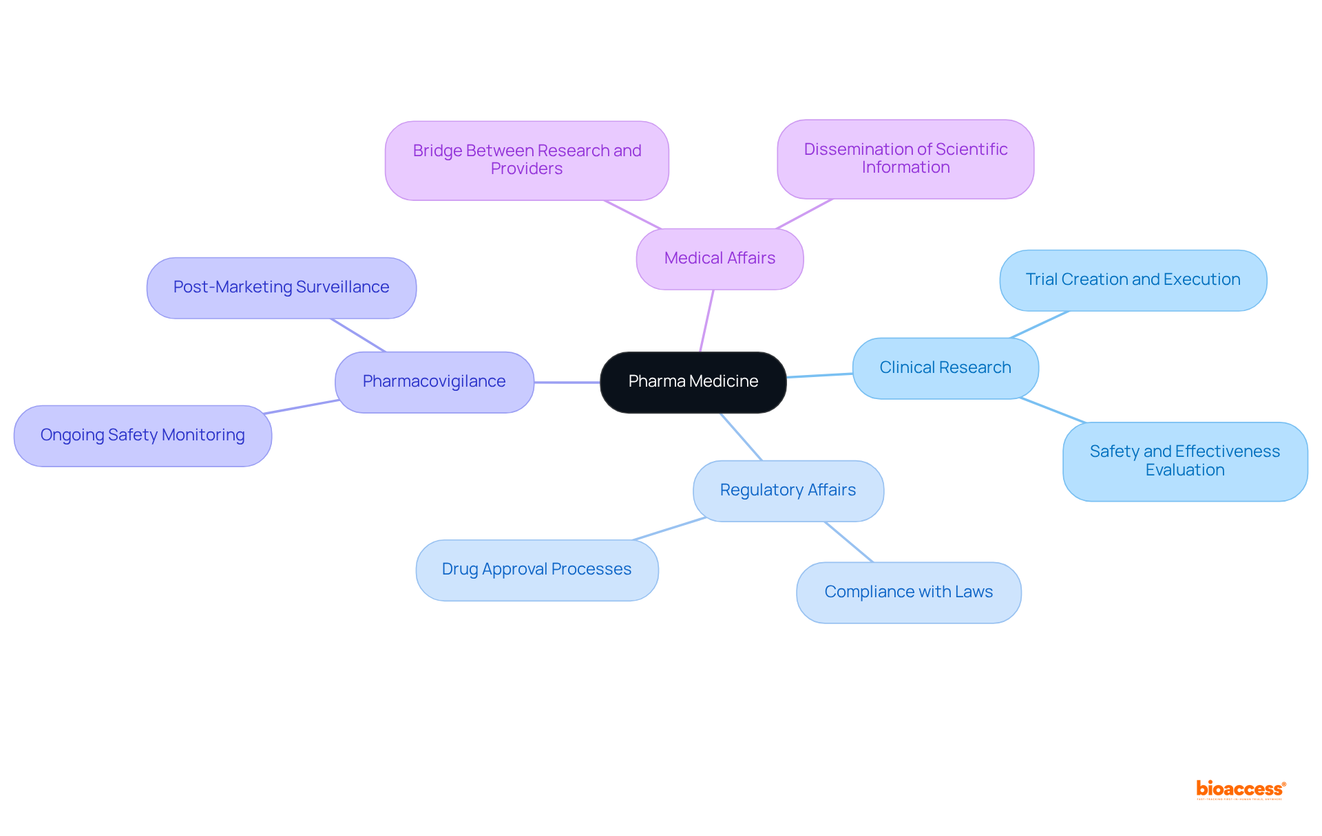 The central node represents pharma medicine, while each branch shows a key component. Follow the branches to understand each element's role in ensuring safe and effective medication.