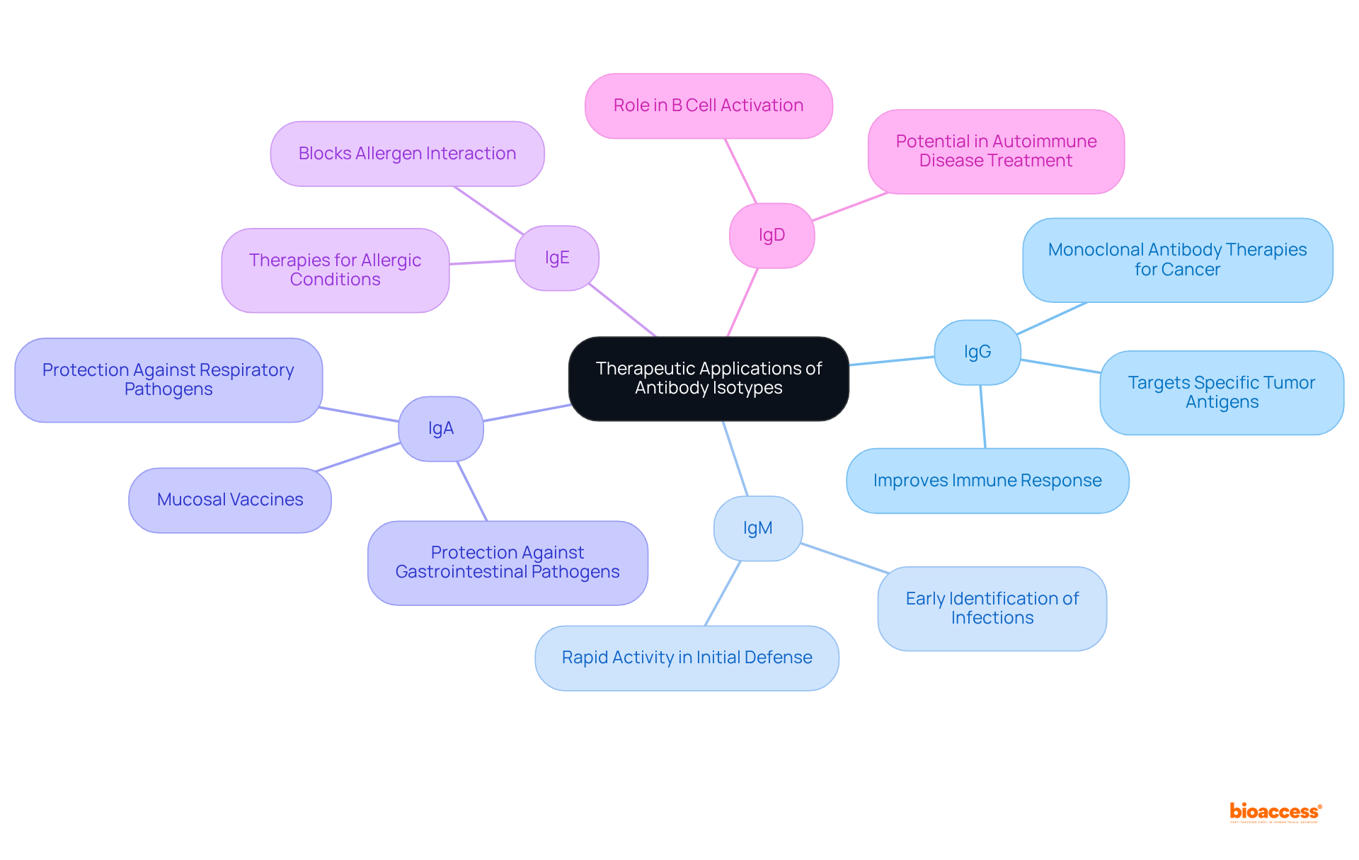 The center shows the main theme of antibody isotypes in therapy, and each branch represents a specific isotype with its applications. Follow the branches to learn how each type of antibody plays a role in treating various conditions.
