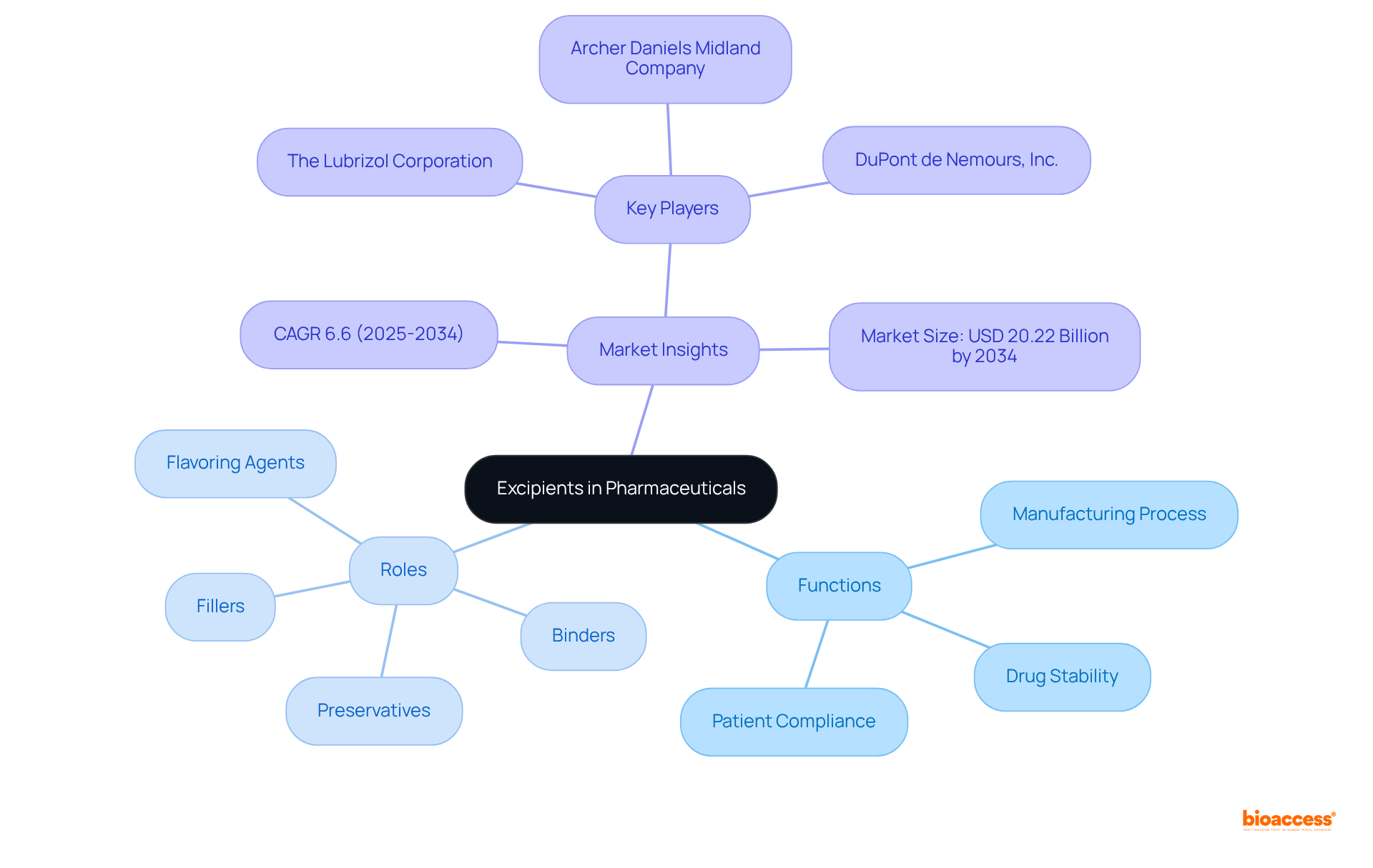 The center represents excipients, which are crucial in medications. Branches show their main functions and specific examples, helping you understand how they contribute to drug effectiveness and safety.