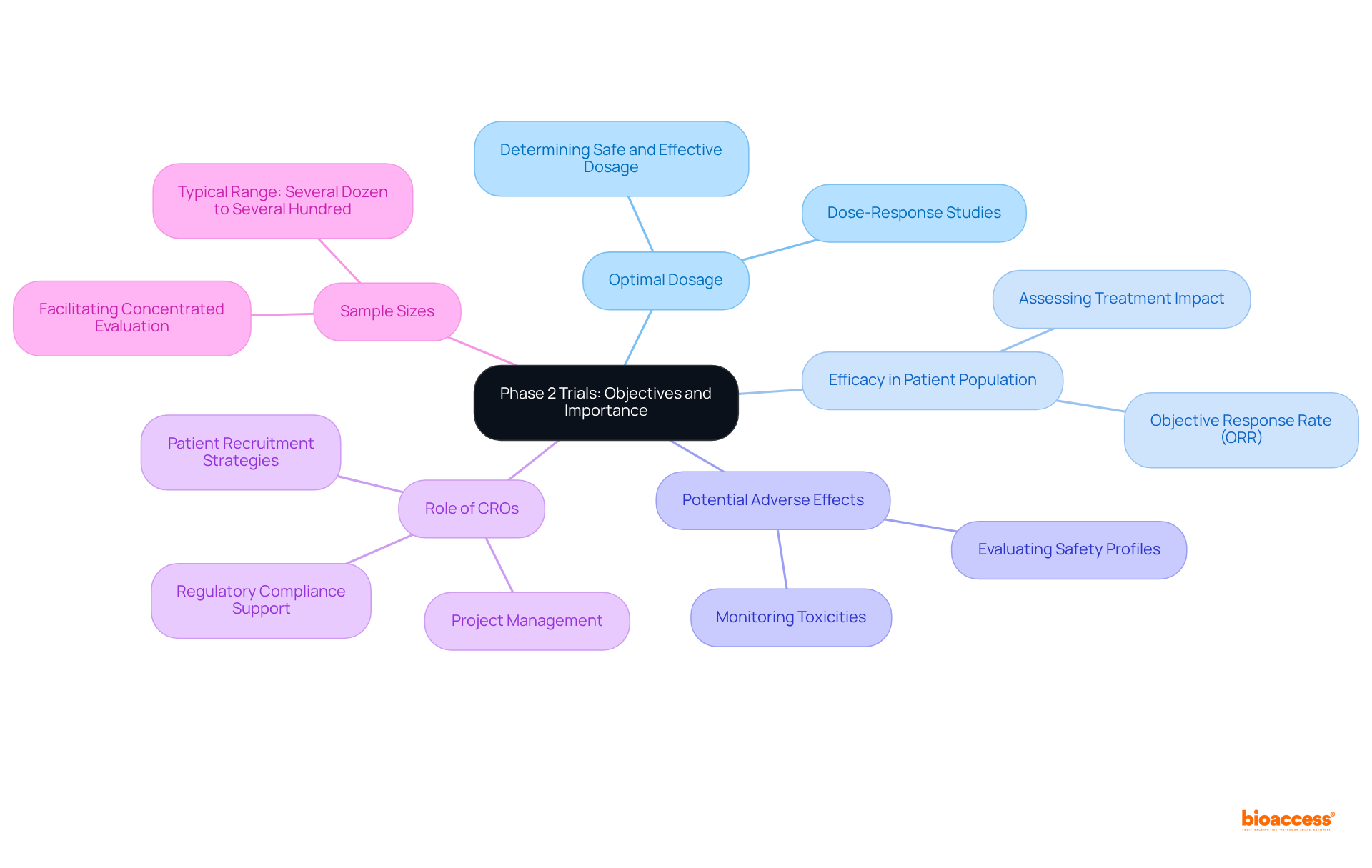 The central node represents Phase 2 trials, and the branches illustrate key objectives. Each branch highlights what Phase 2 studies seek to achieve, helping you understand their significance in the overall clinical research process.