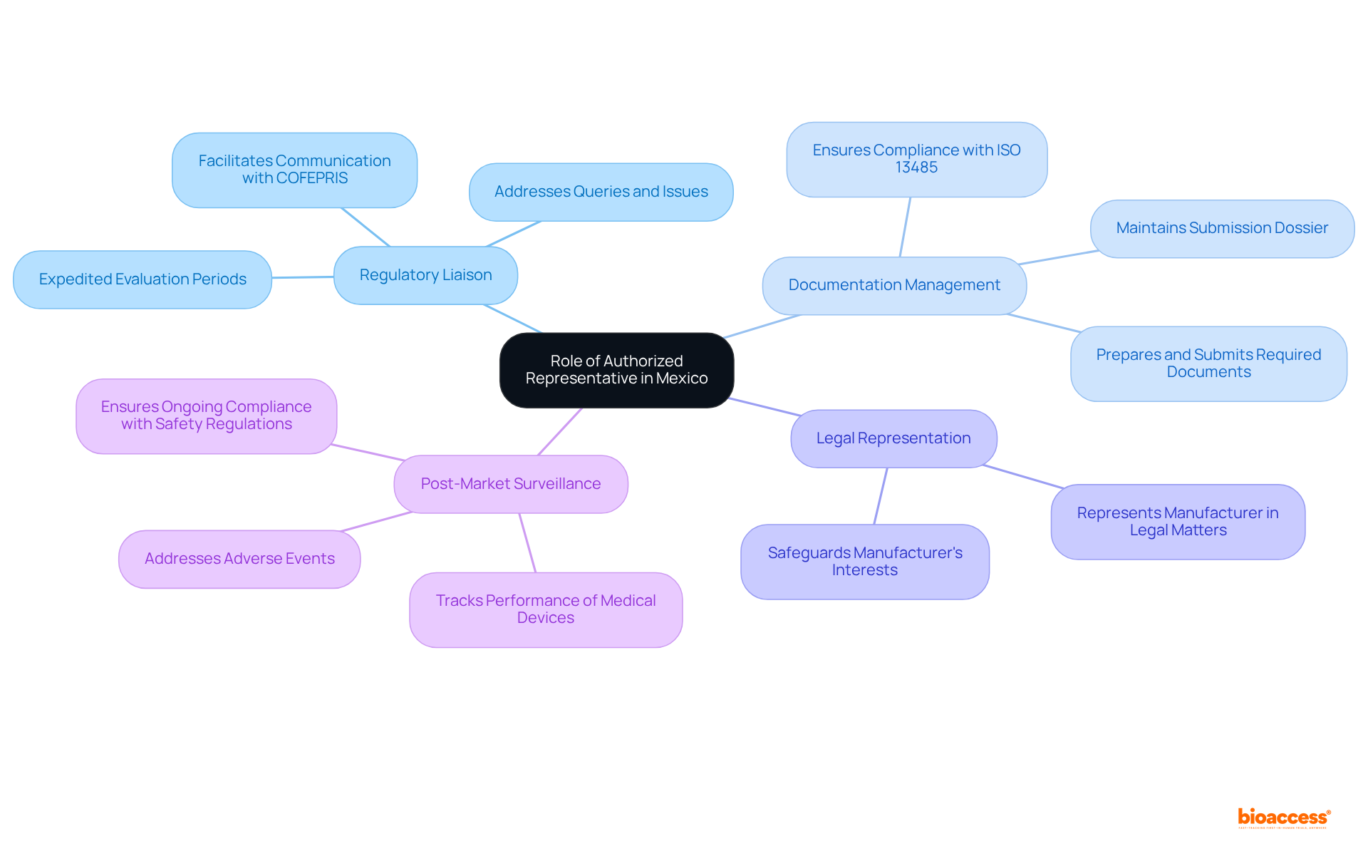 The central node represents the main role of the AR, and each branch highlights a key responsibility. Details beneath each branch explain what that responsibility entails, helping you understand how they all contribute to compliance and market access. The central node represents the main role of the AR, and each branch highlights a key responsibility. Details beneath each branch explain what that responsibility entails, helping you understand how they all contribute to compliance and market access.