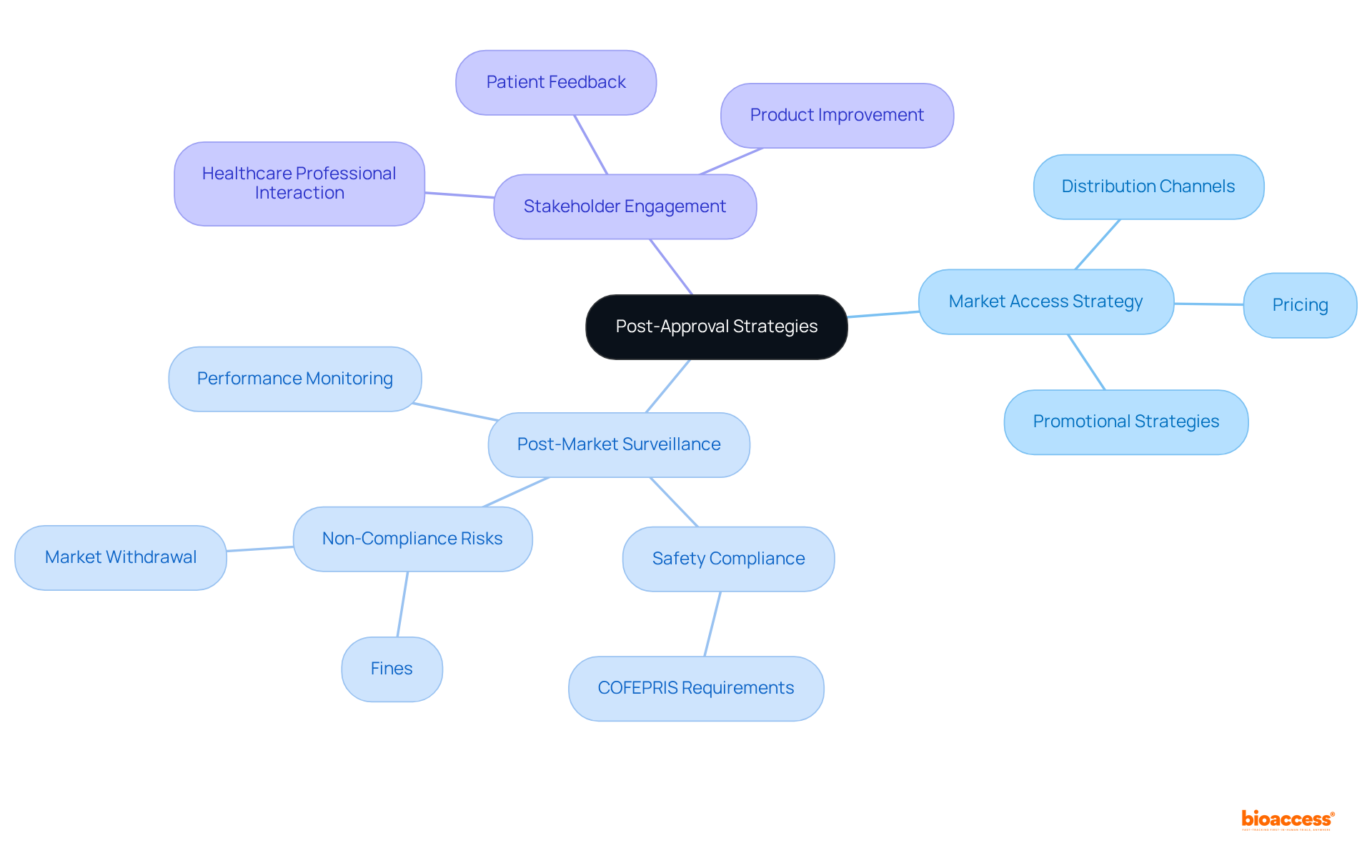 This mindmap showcases the essential components of post-approval strategies. Each branch leads to important details — follow the paths to see how they all contribute to the overall success in the pediatric medical equipment market.
