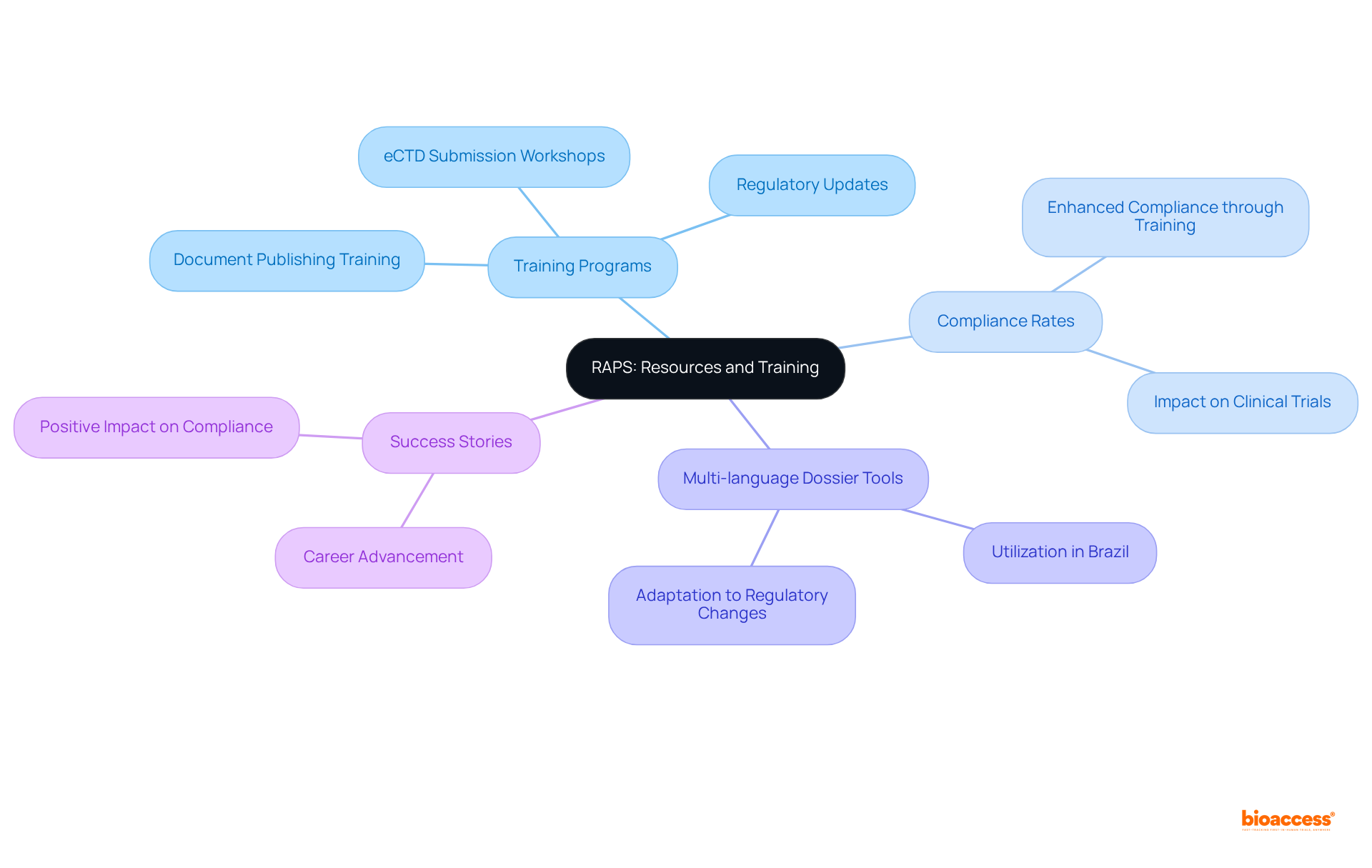 The center represents RAPS, with branches showing different resource areas and their contributions. Each color-coded branch helps distinguish the various aspects of RAPS's offerings.