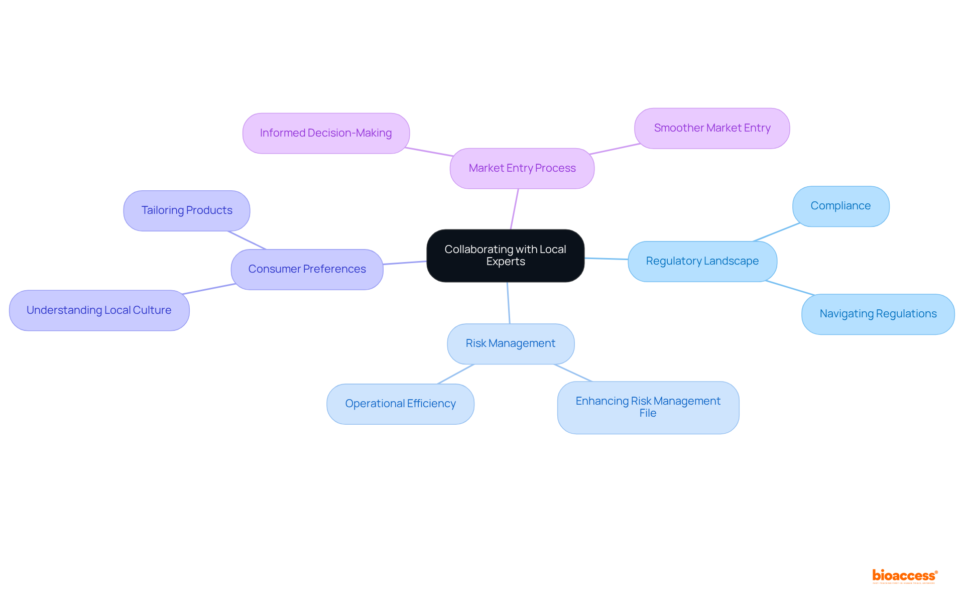 The central theme is collaboration with local experts, which branches out into various important areas that affect market entry and operational success. Follow the lines to understand how each aspect connects to the overall goal.
