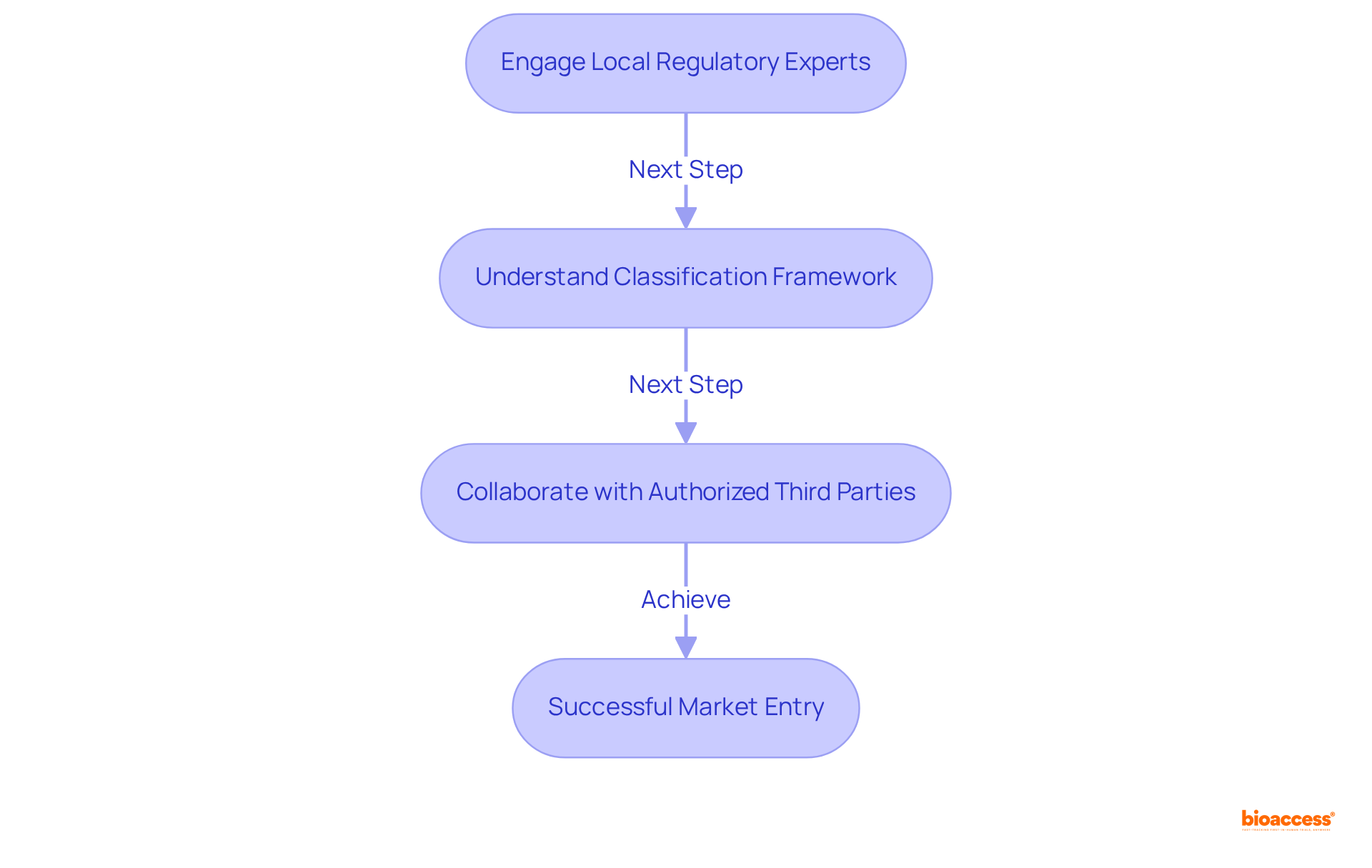 Each step represents a crucial action in the compliance process — follow the arrows to see how they connect and lead to successful market entry.