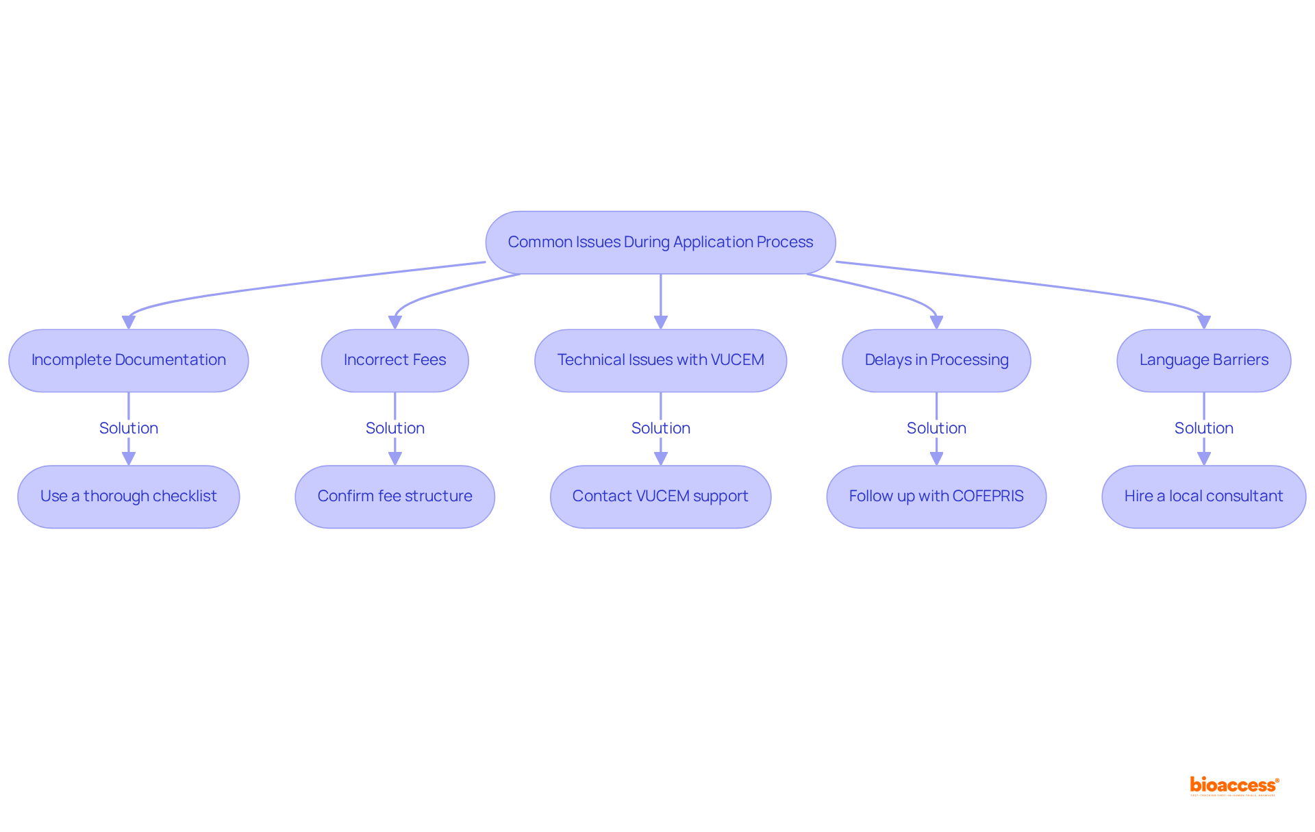 Each box represents a common issue you might face when applying for a Trial Import License. The arrows guide you to potential solutions, helping you navigate the process more effectively.